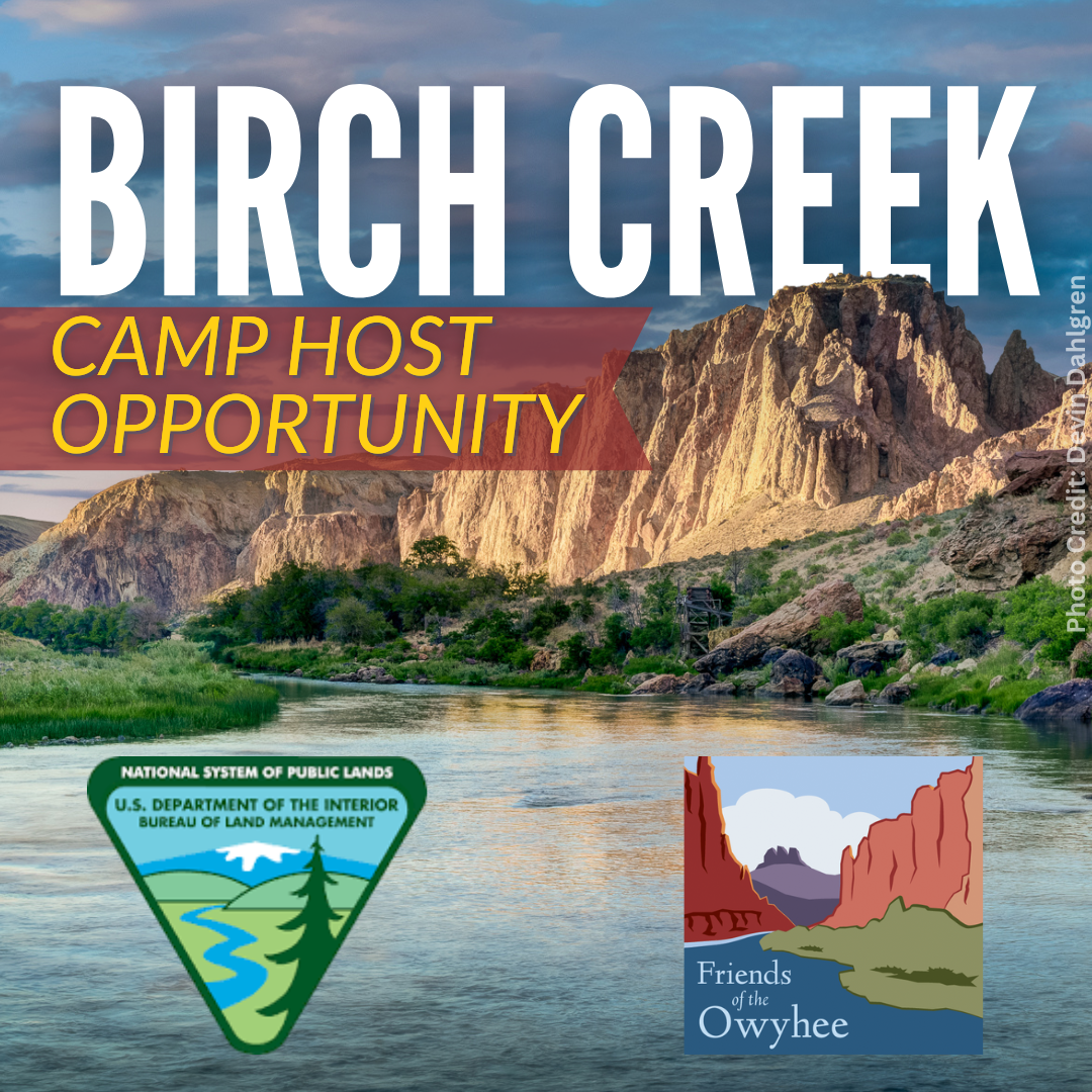 Birch Creek Volunteer (2).png