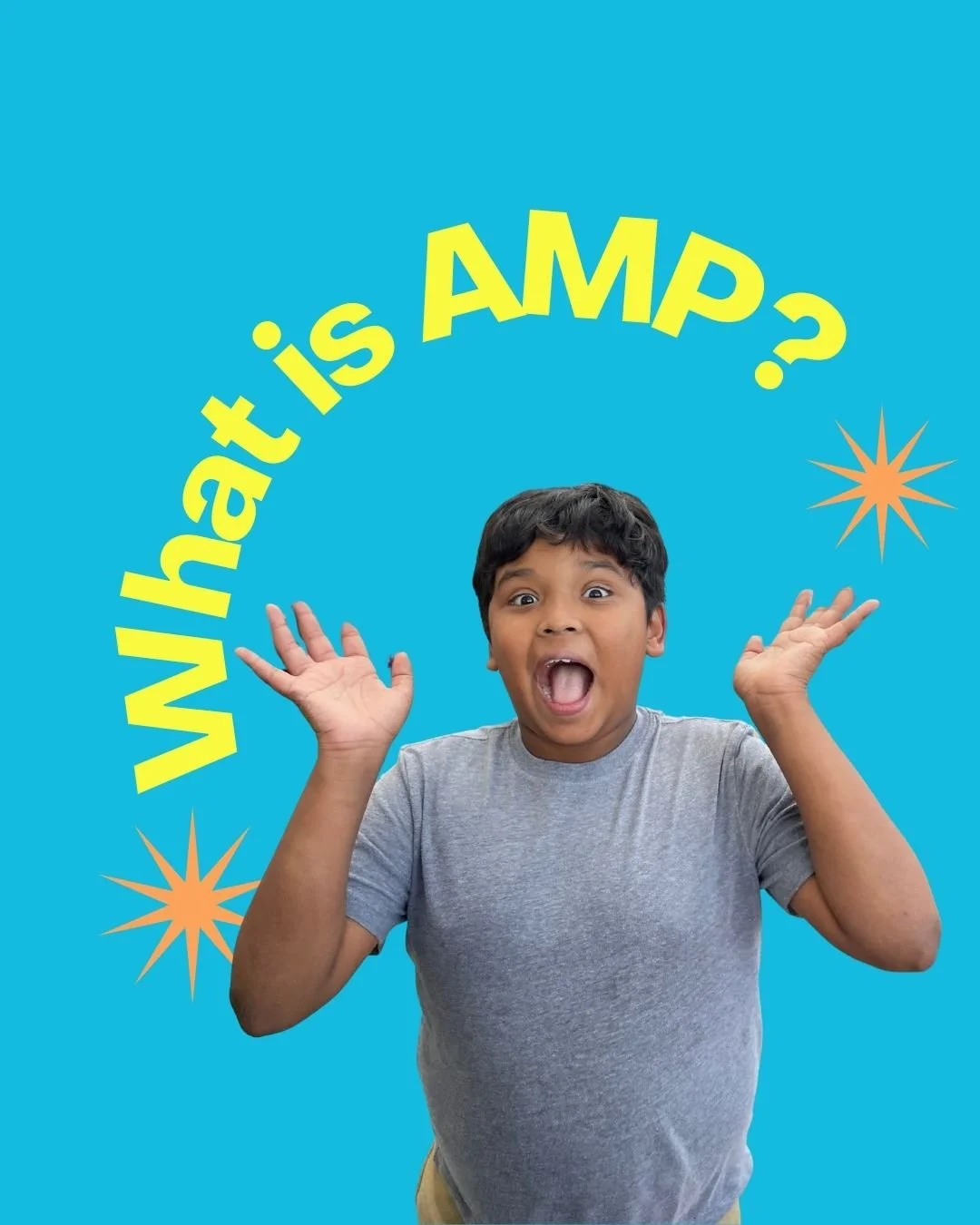 What is the Academic Mentoring Program?