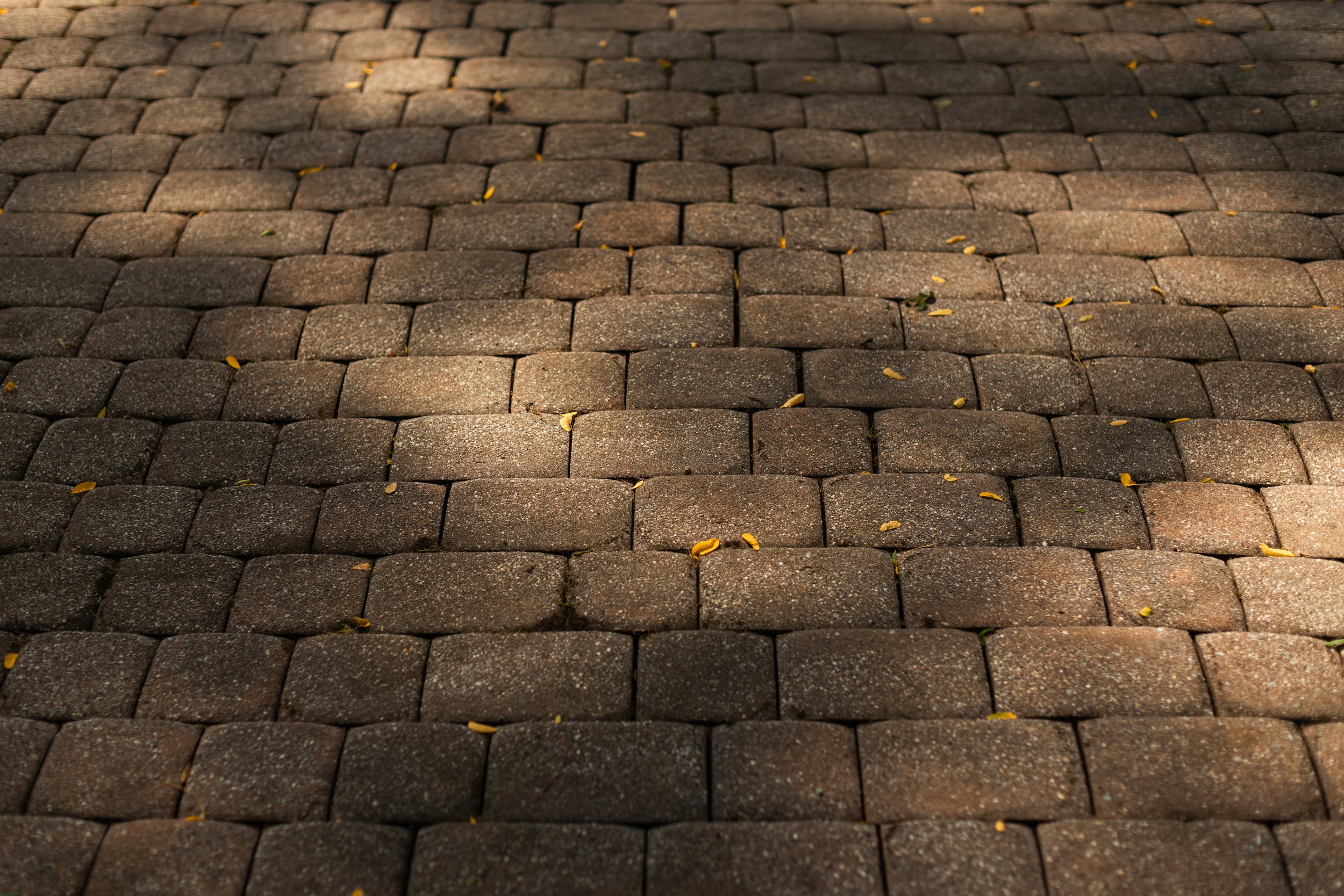 7 Upland Dr (7 of 110).jpg