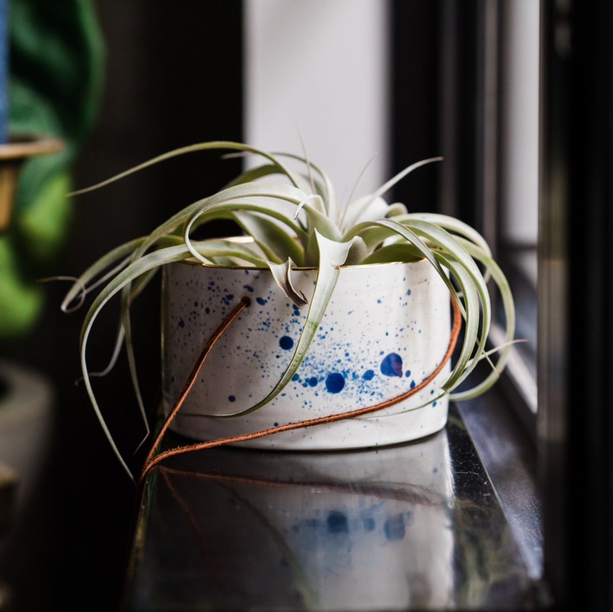 Box Sparrow Ceramics