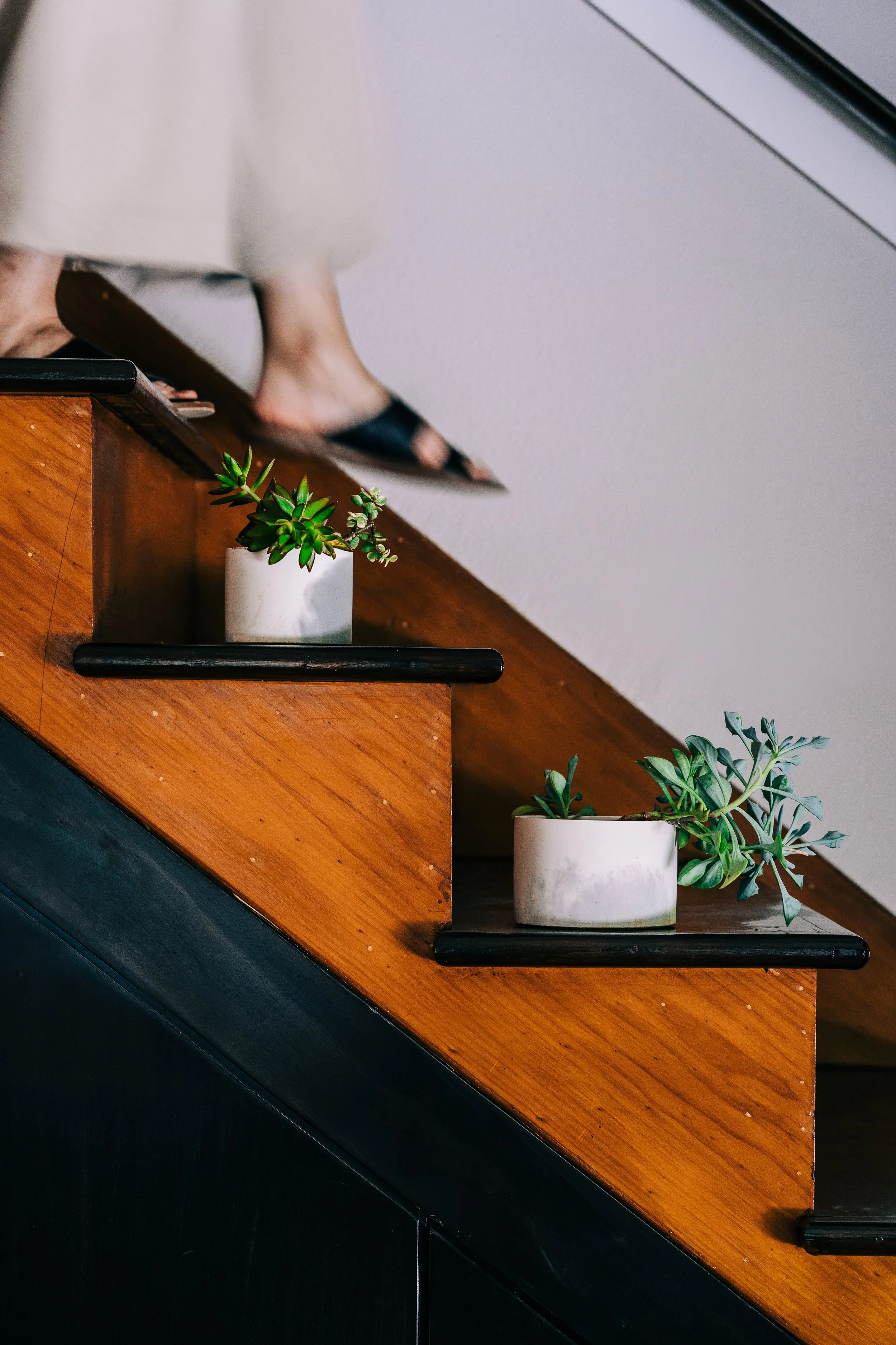 Pretti.Cool Planters