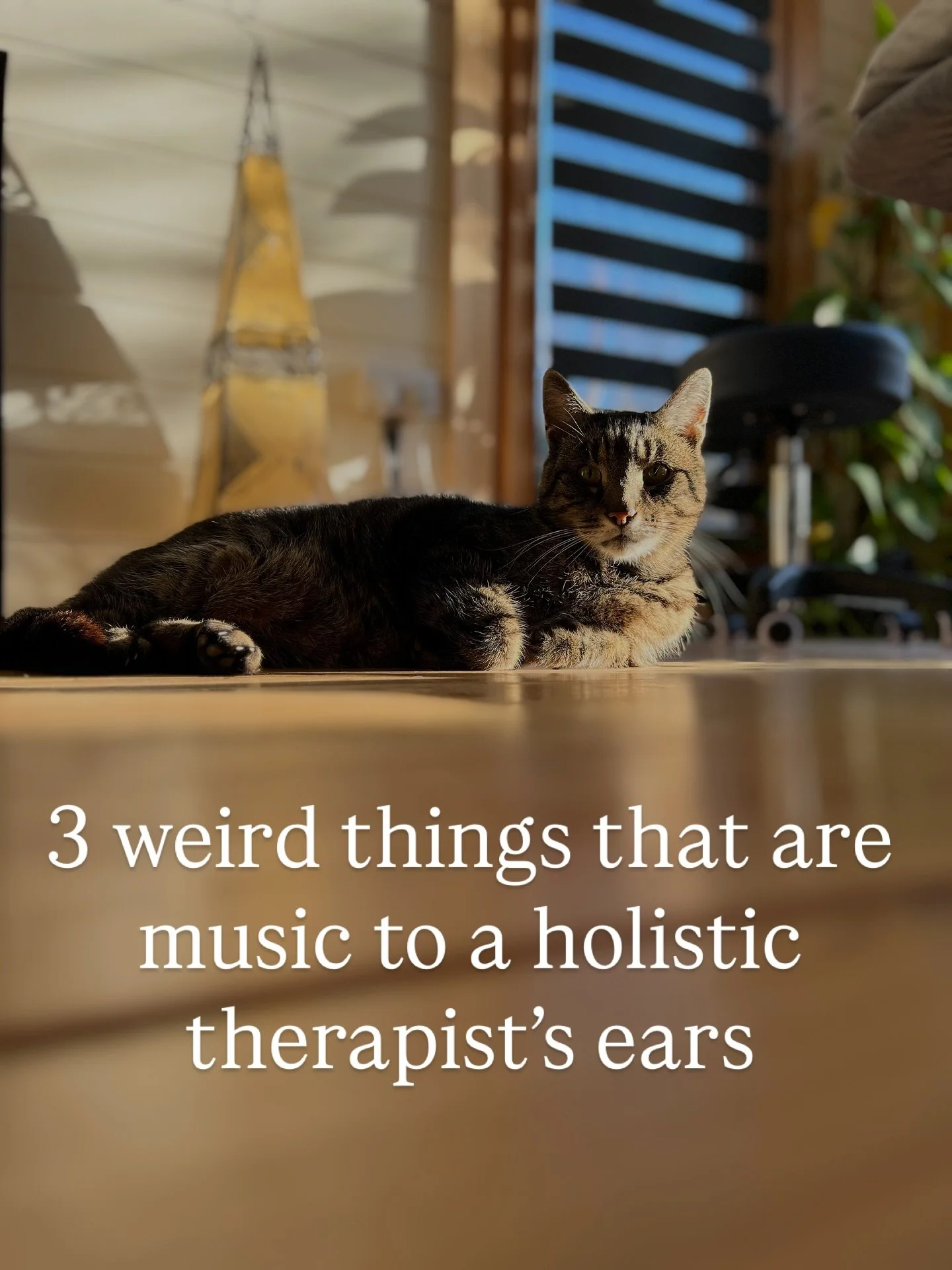 Deep sighs, snoring and crying are all wonderful indications that your nervous system is calming down and releasing what it needs to in order for you to heal. 

Music to my ears as it means you&rsquo;re responding beautifully to treatment. ✨

#holist