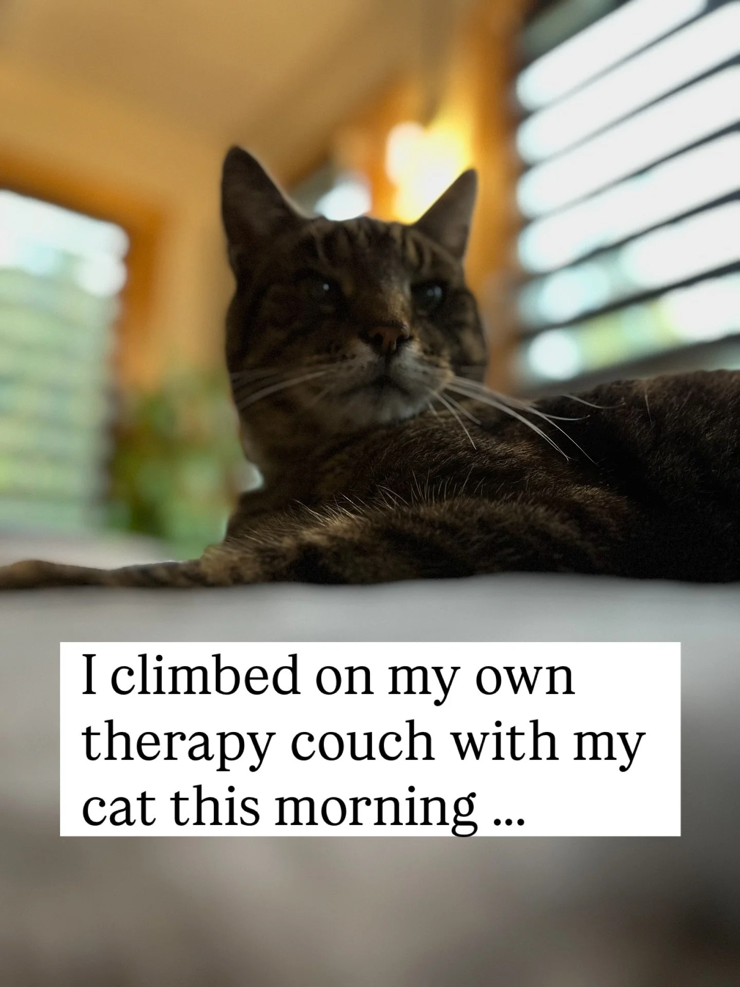 Sometimes I&rsquo;m treating someone and I think God, I wish that was me! 😆 This morning I climbed on my heated couch between appointments and cuddled up with Jasper! 🐾

Fellow therapists - tell me I&rsquo;m not the only one! 

#therapistlife #holi