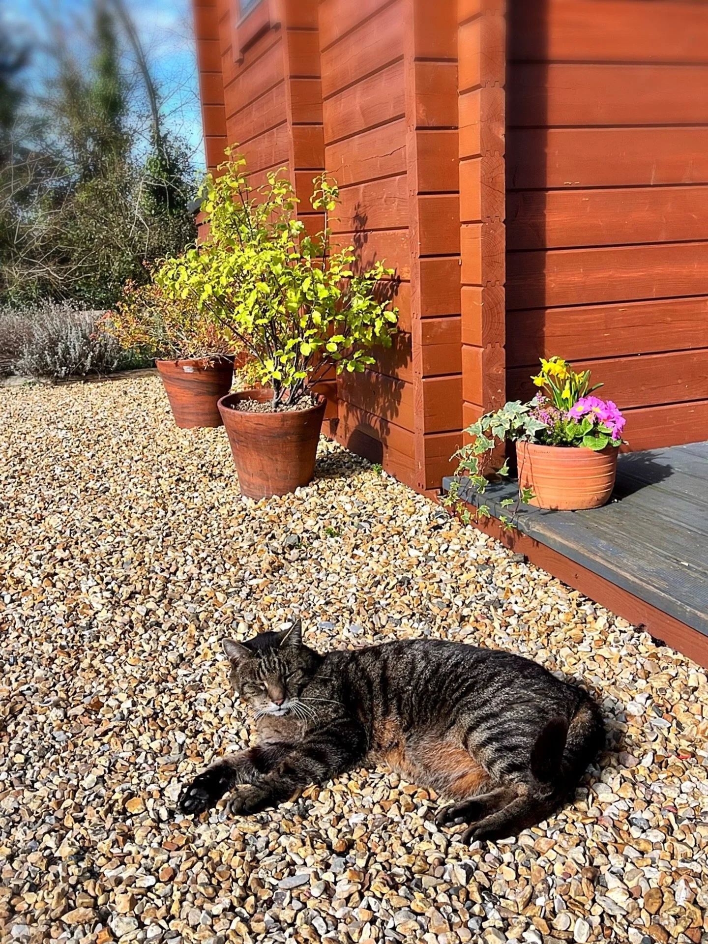 𝗢𝗻 𝘁𝗵𝗲 𝗮𝗴𝗲𝗻𝗱𝗮 𝗳𝗼𝗿 𝗠𝗮𝗿𝗰𝗵: 

~ 𝗹𝗼𝘁𝘀 𝗼𝗳 𝗦𝗽𝗶𝗻𝗮𝗹 𝗘𝗻𝗲𝗿𝗴𝗲𝘁𝗶𝗰𝘀 𝗽𝗿𝗮𝗰𝘁𝗶𝗰𝗲! 𝗧𝗵𝗮𝗻𝗸 𝘆𝗼𝘂 𝘁𝗼 𝗲𝘃𝗲𝗿𝘆𝗼𝗻𝗲 𝘄𝗵𝗼&rsquo;𝘀 𝗵𝗮𝗽𝗽𝘆 𝘁𝗼 𝗯𝗲 𝗮 𝗴𝘂𝗶𝗻𝗲𝗮 𝗽𝗶𝗴.  𝗧𝗿𝘆𝗶𝗻𝗴 𝘁𝗼 𝘀𝗾𝘂𝗶𝘀𝗵 𝘁?