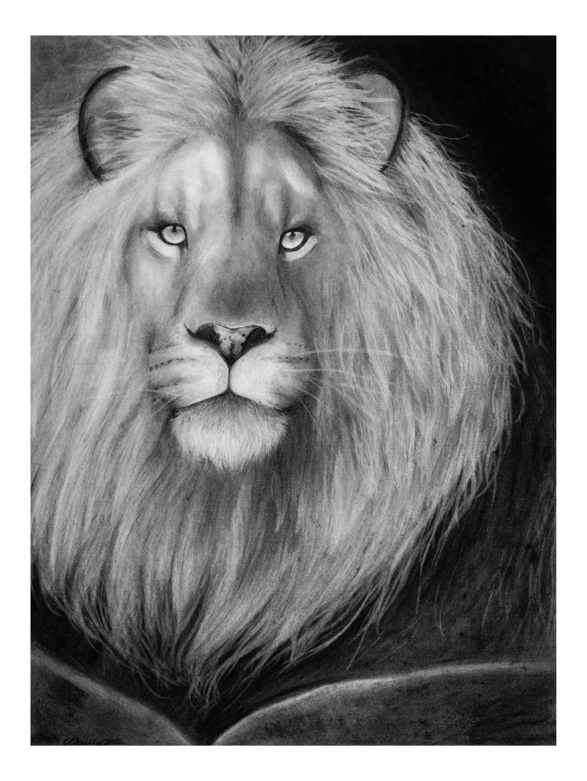 Peaceful King