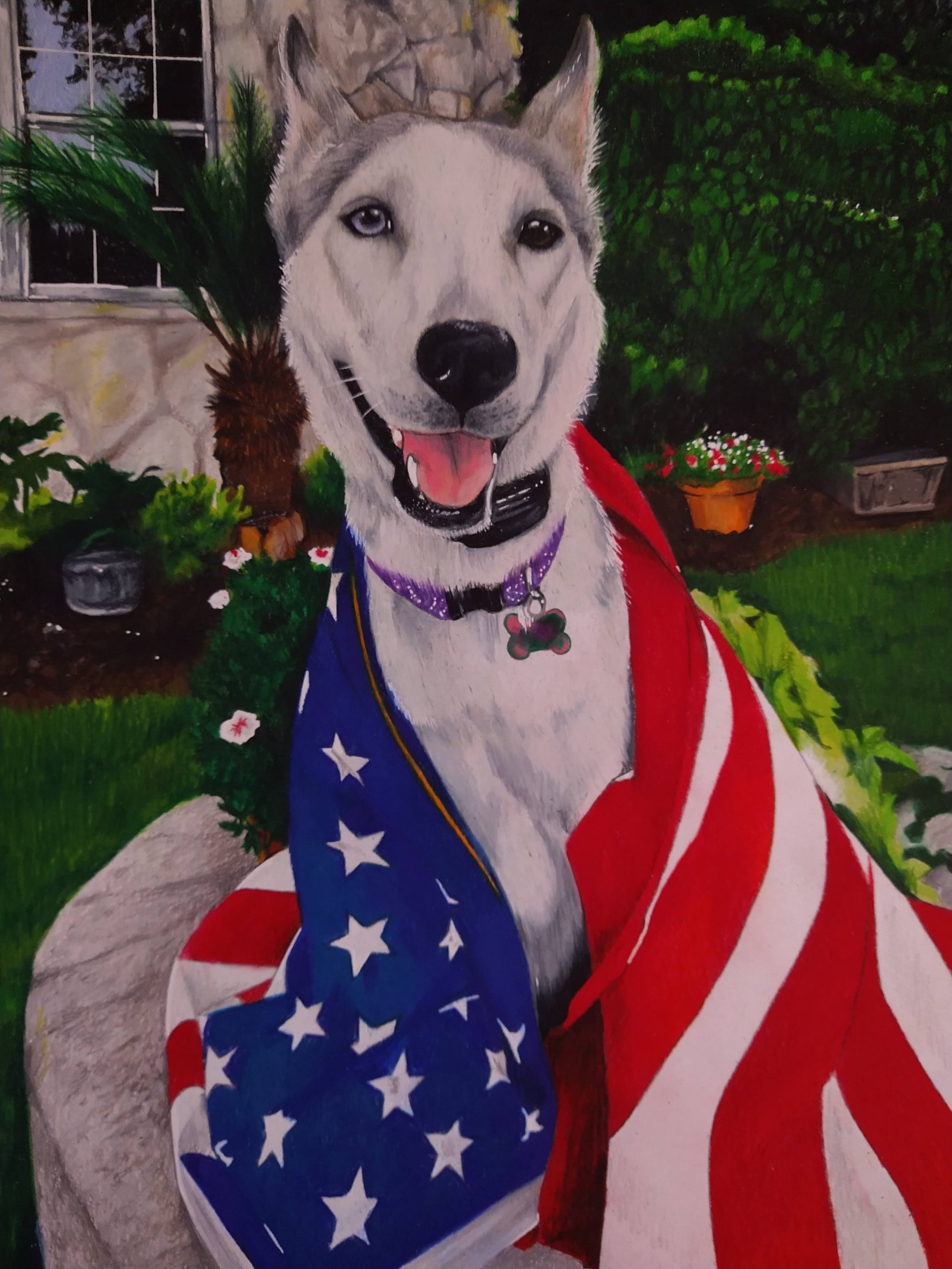"Bella" Pet portrait commission
Pencil/Pastel
11 X 14 inches