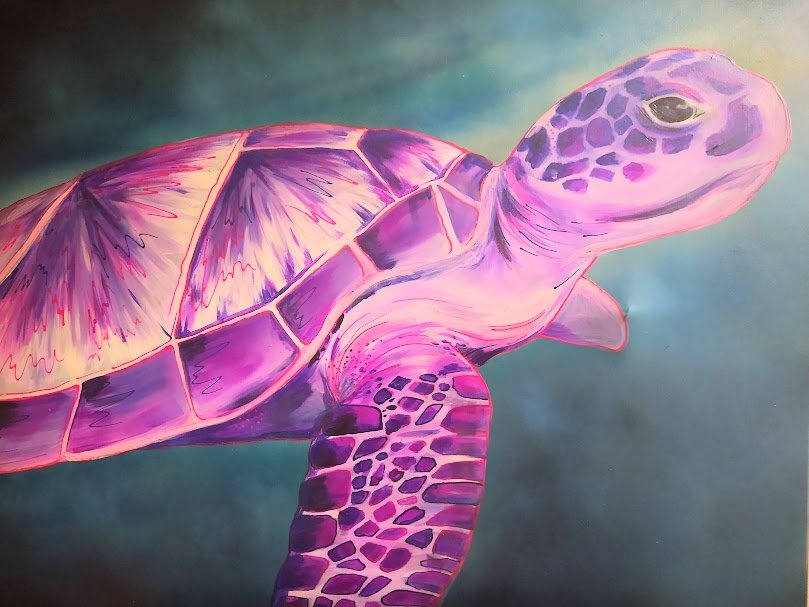 turtle 1.jpg