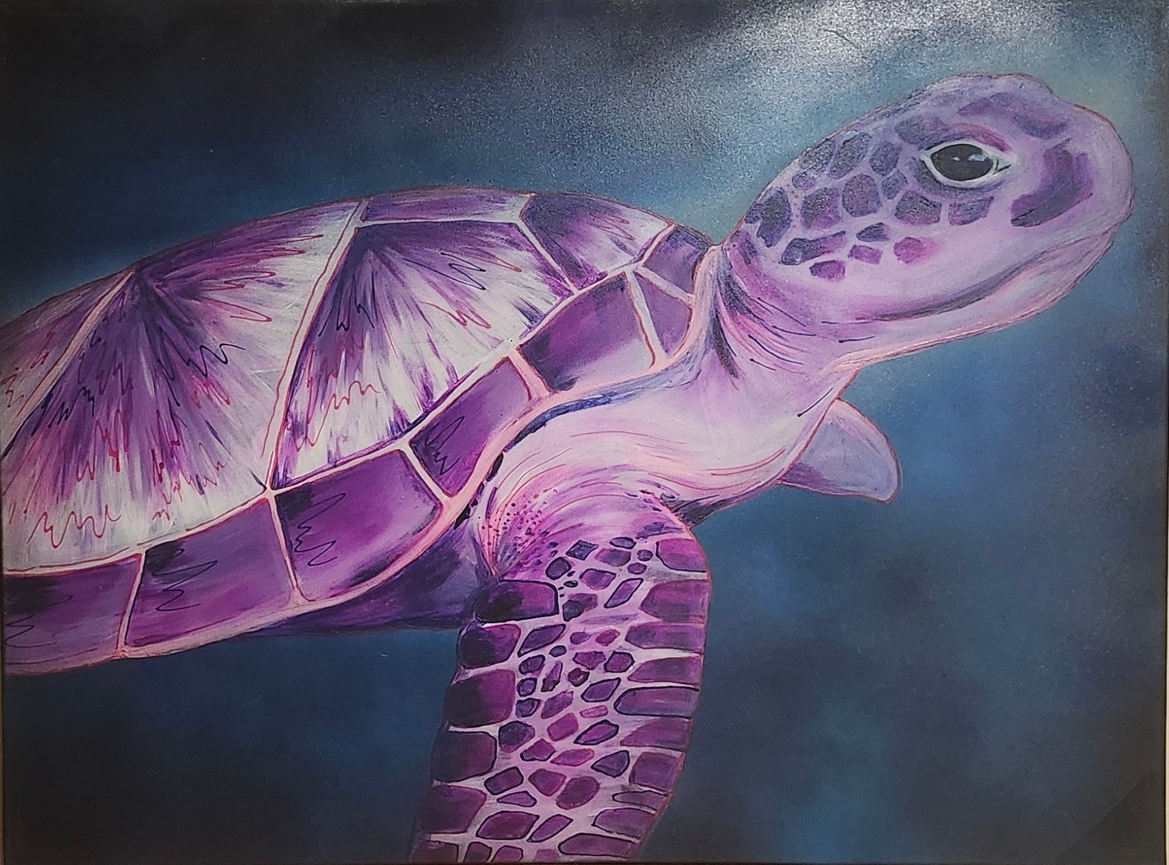 purple turtle.jpg