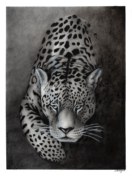 "Out of the Shadows" Graphite and charcoal on paper. Dimensions 24 X 32 inches. "Emerging" series