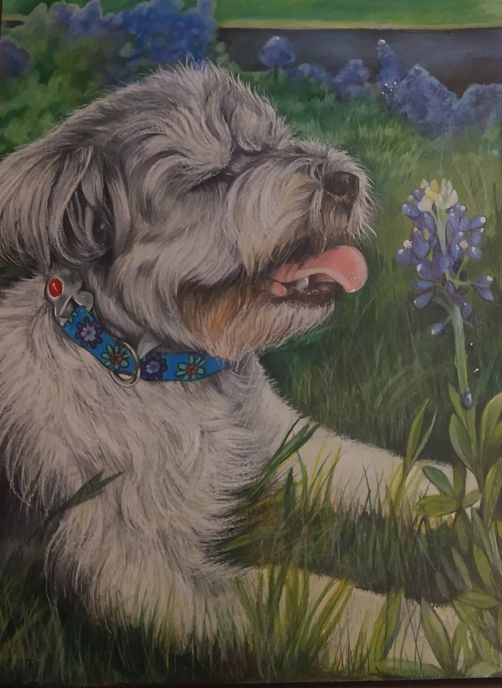Colored Pencil/Pastel
Commissioned pet Portrait