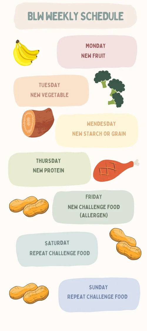 Baby Led Weaning For Beginners: The Ultimate Guide to a Stress-Free