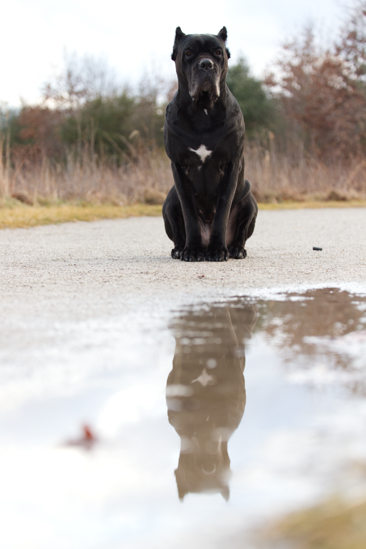 Serenity, posing for our 52Frames challenge.