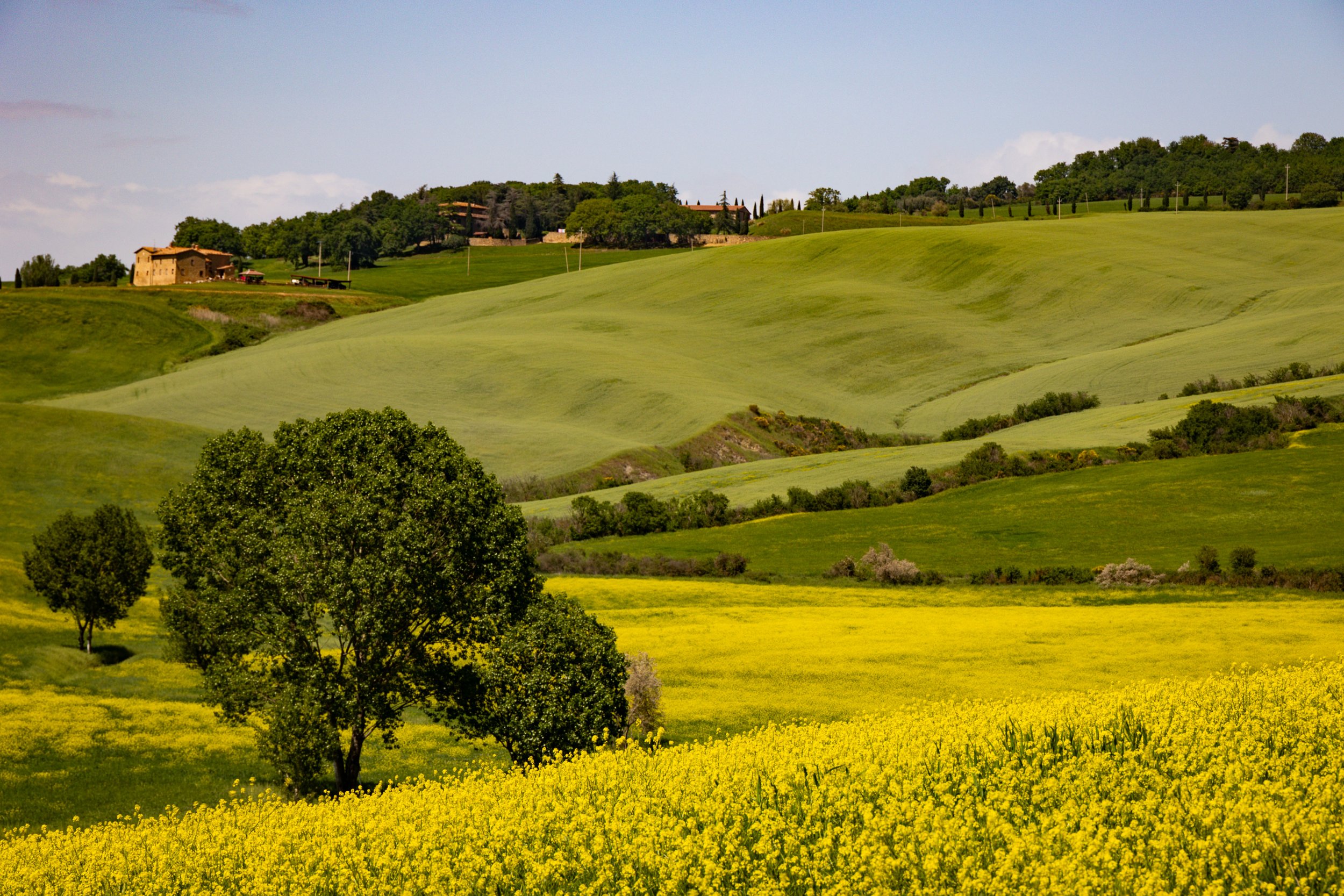 Rolling Fields of Tuscany.jpg