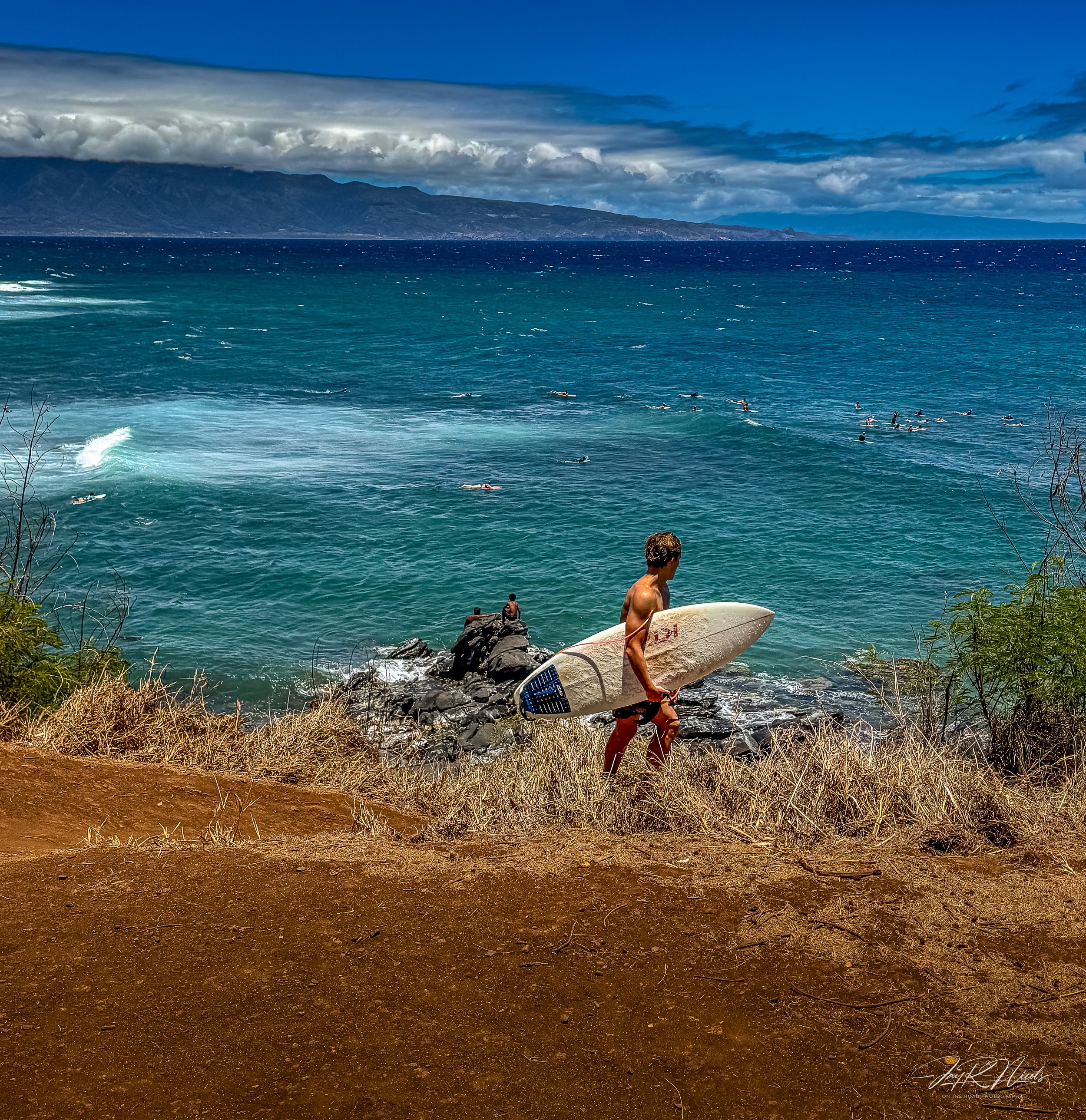 Maui Sea Turtle Beach-1.jpg
