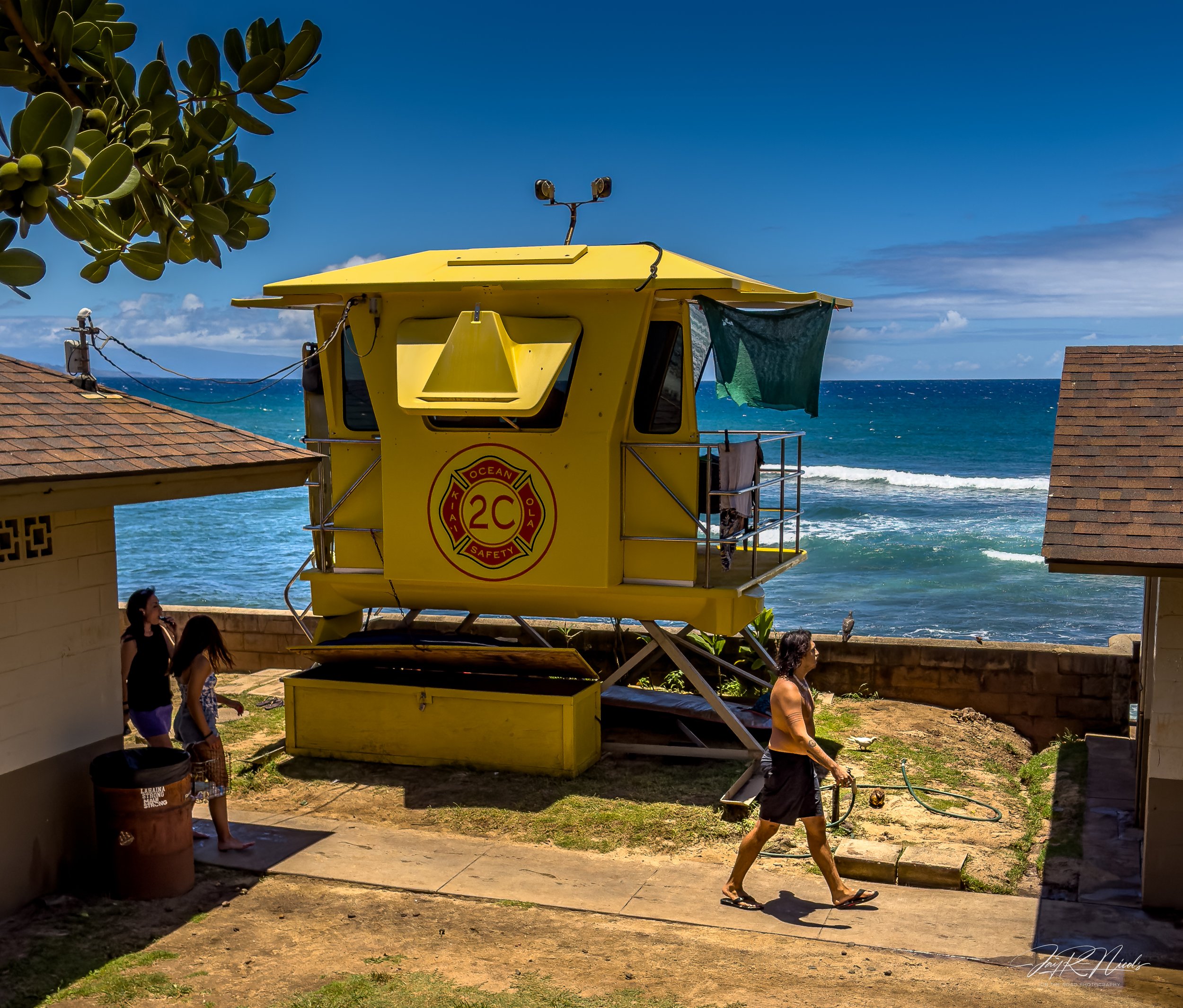 Maui Sea Turtle Beach.jpg