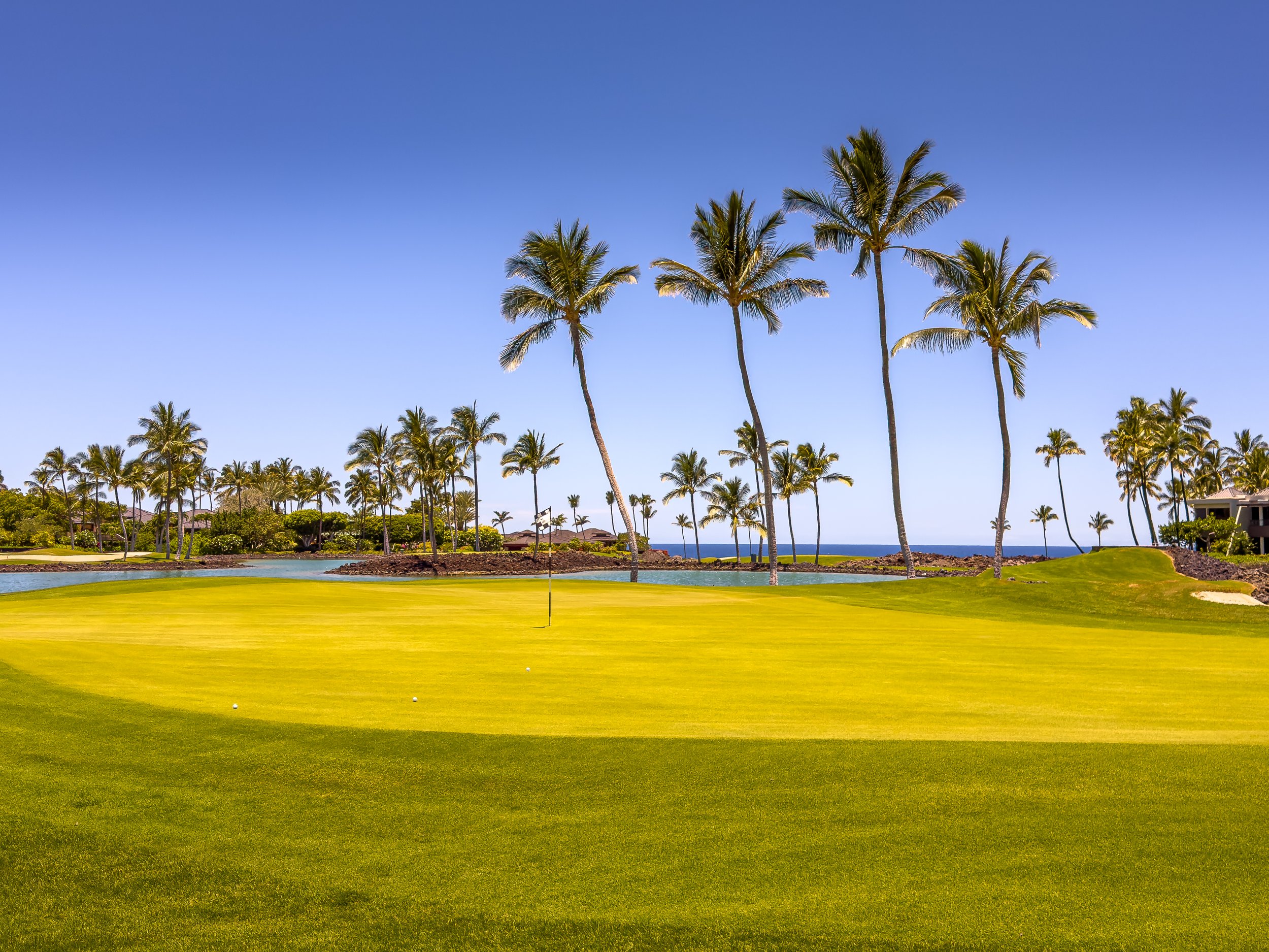 Hawaii Summer 2024-49.jpg