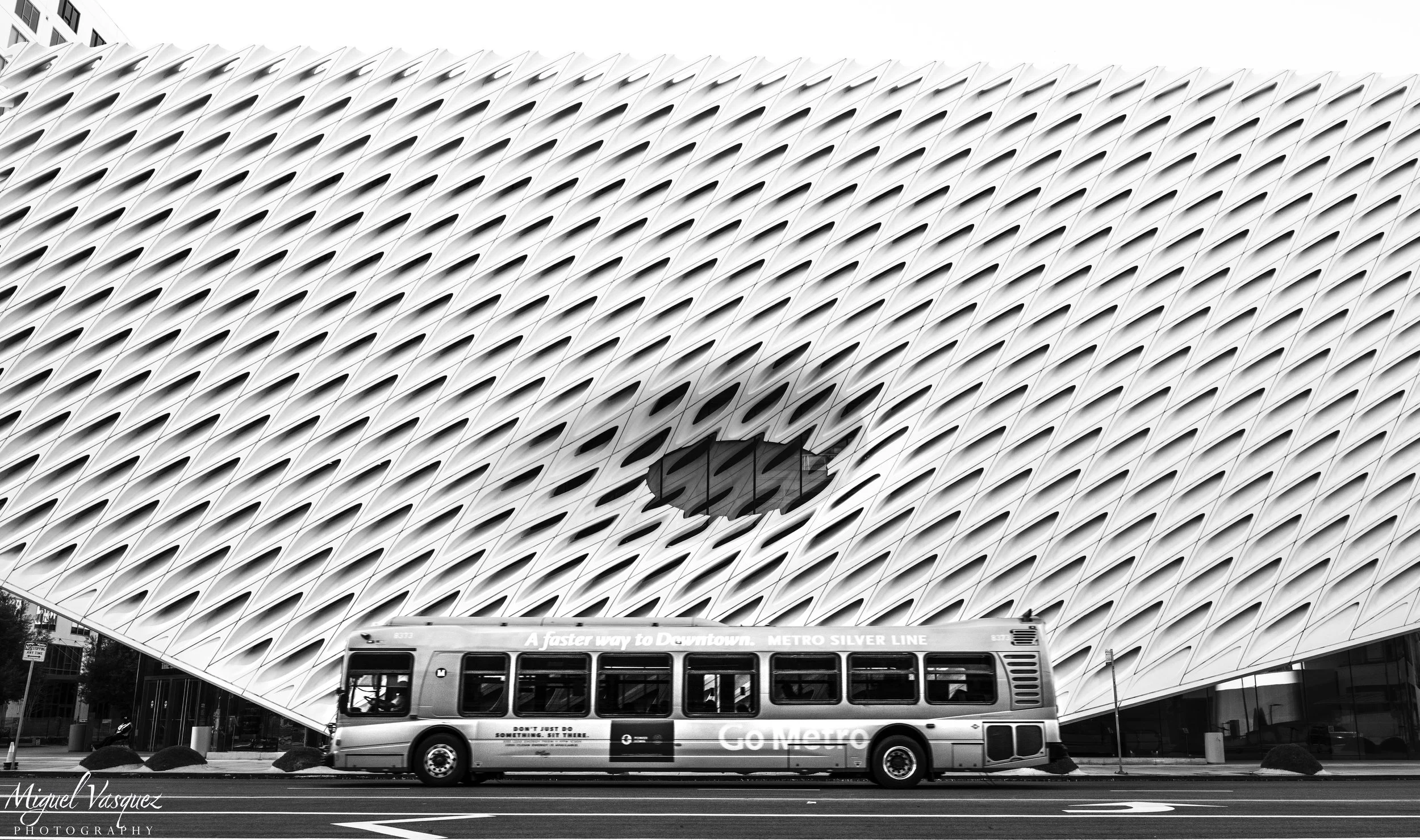 bnw11.jpg