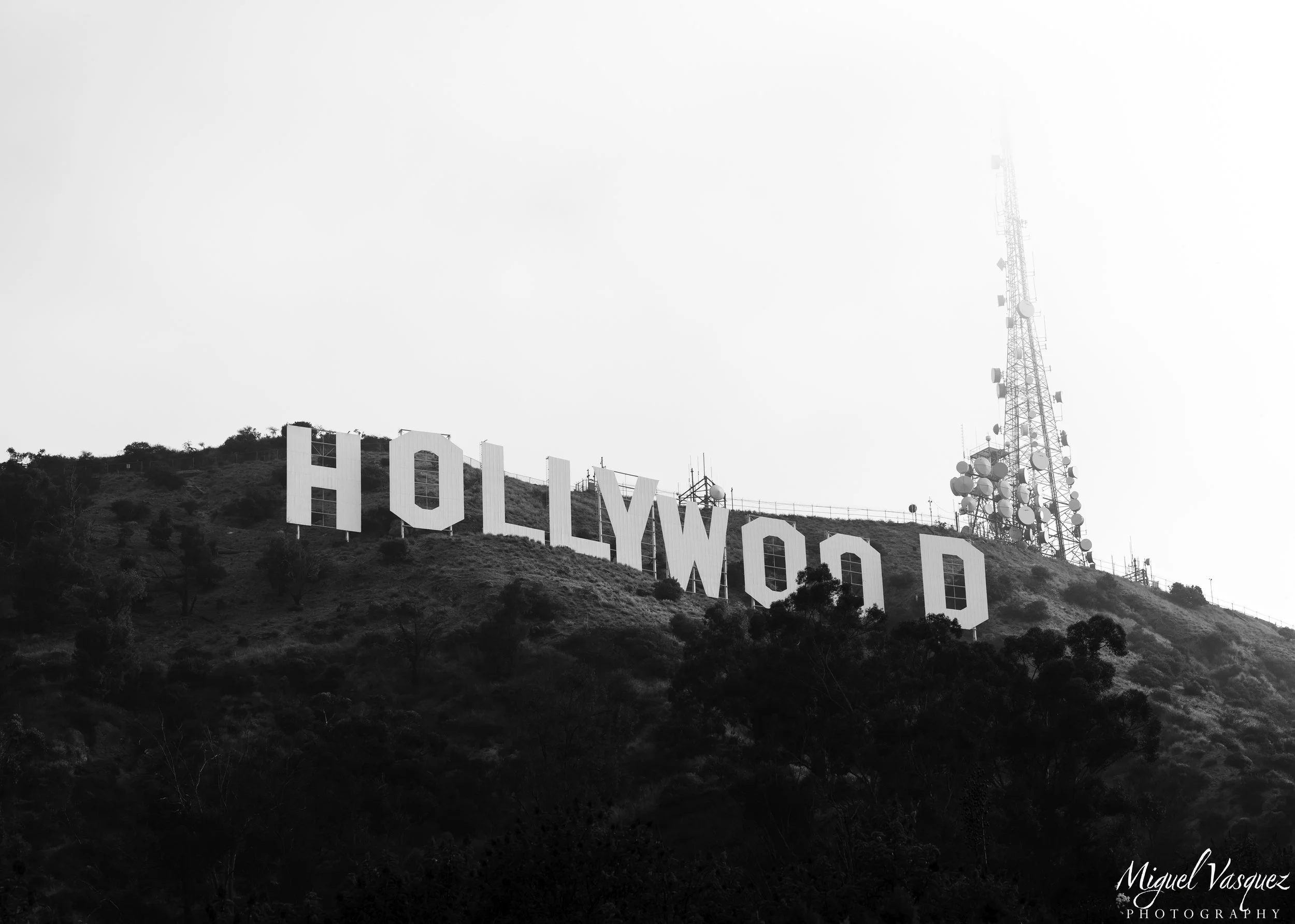 hollywood-bnw-2.jpg