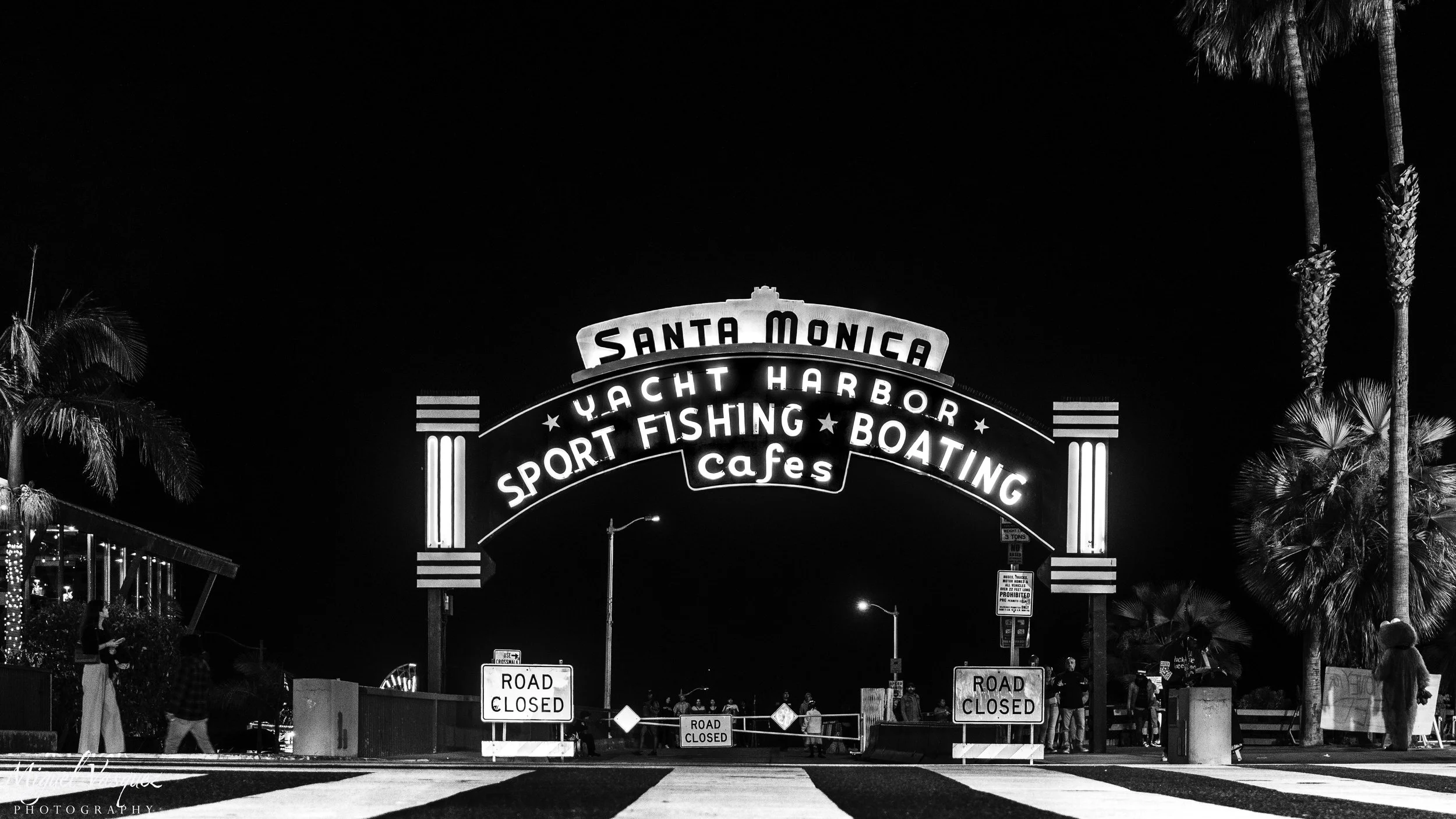 bnw06.jpg