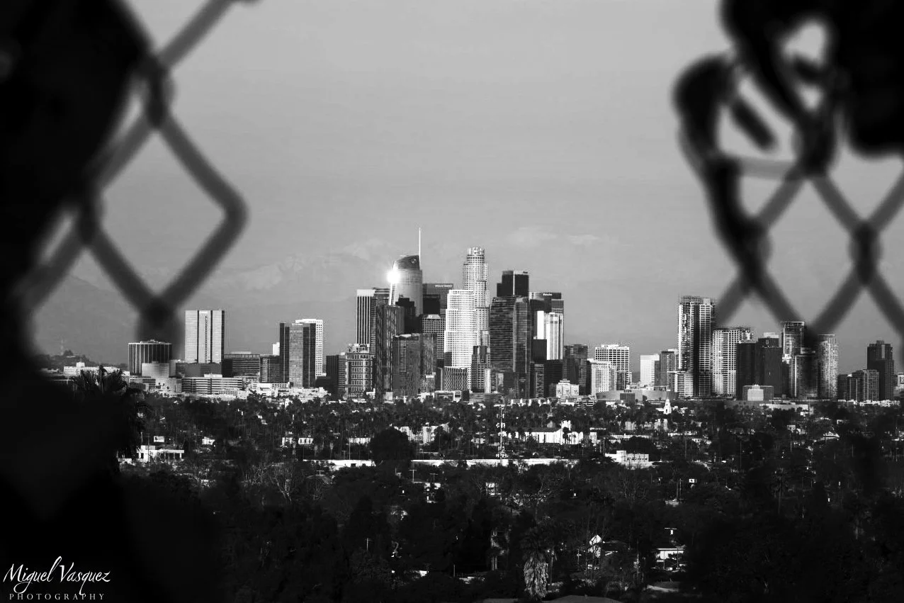 bnw01.jpg