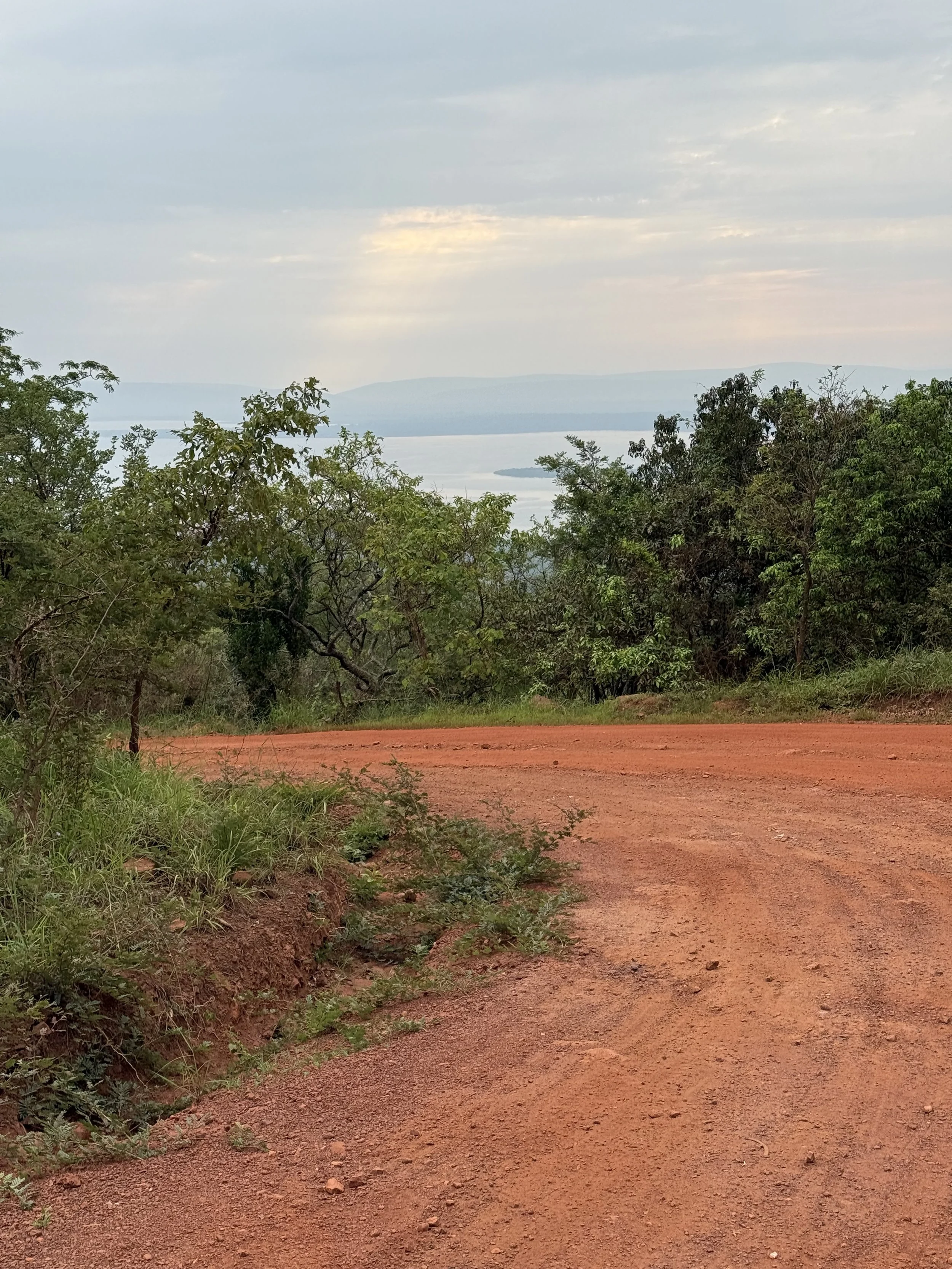 I Spy With My Little Eye