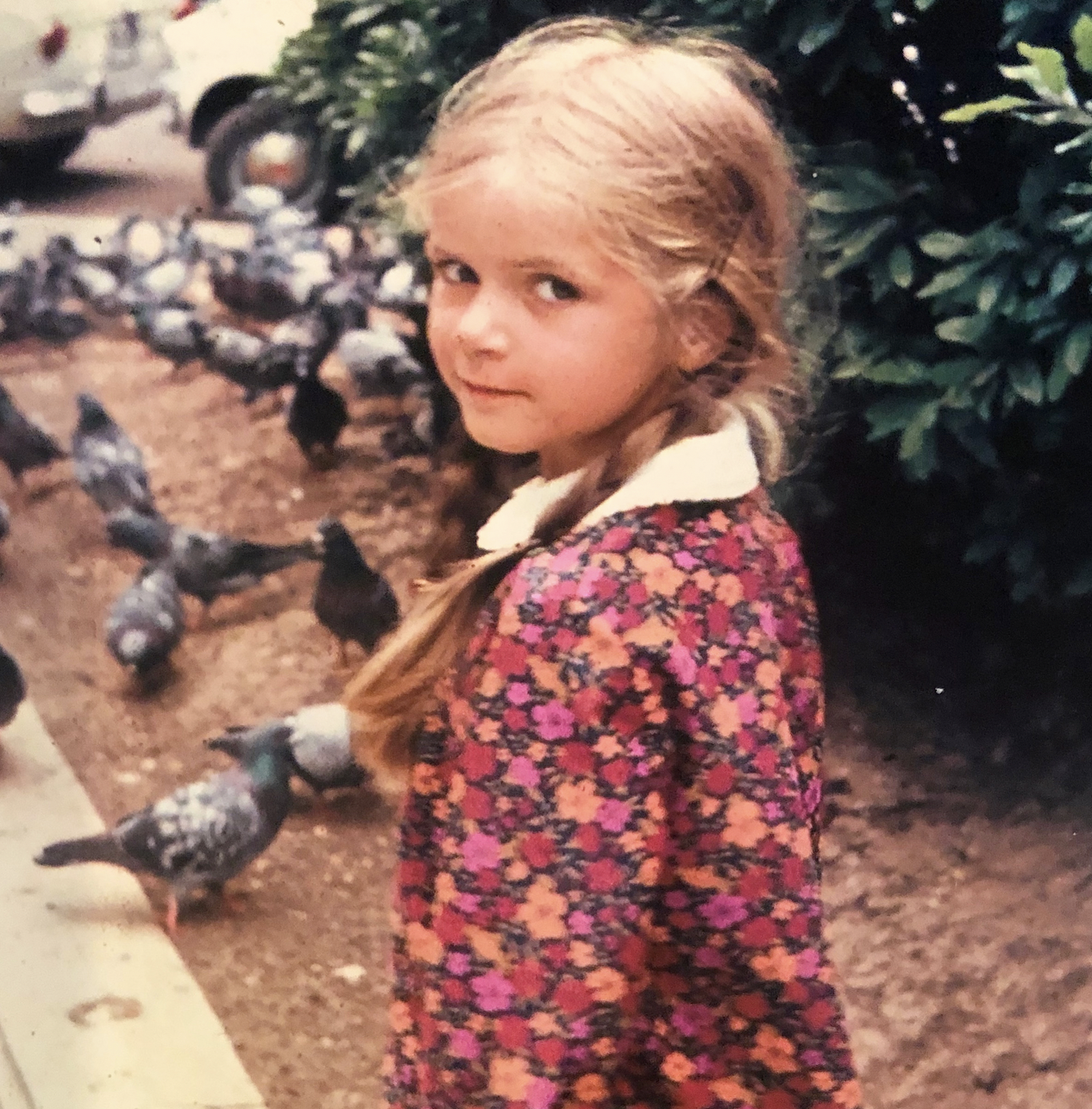 15 - Screen Shot 2024-08-04 at 4.34.36 PM.png