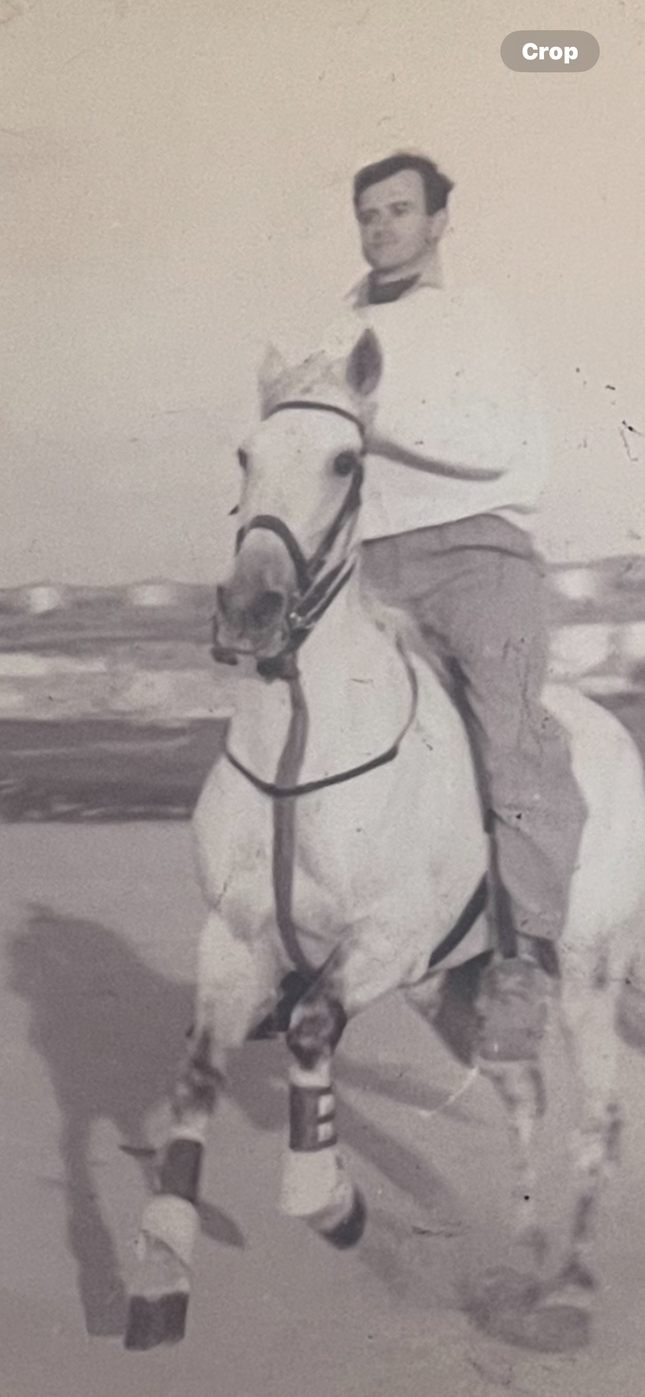 02 - My father, the horseman.PNG