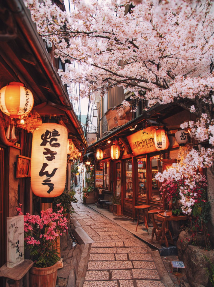 01 - CHERRY BLOSSOM SEASON IN TOKYO.png