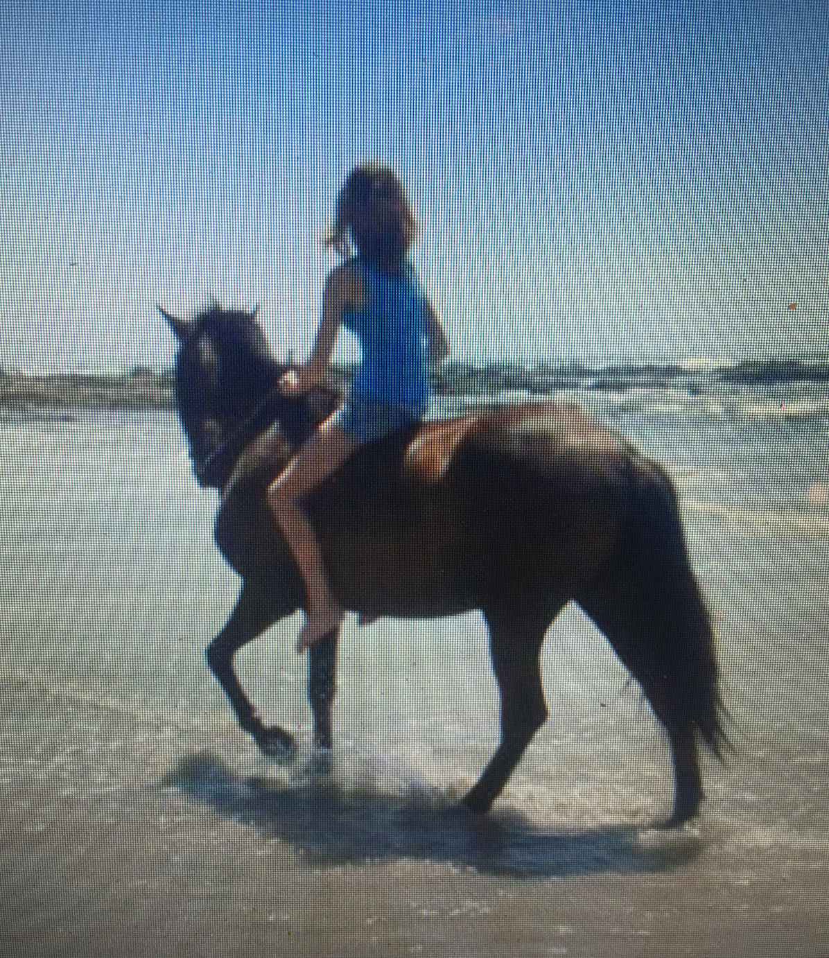 11 - Lola the horseman.PNG