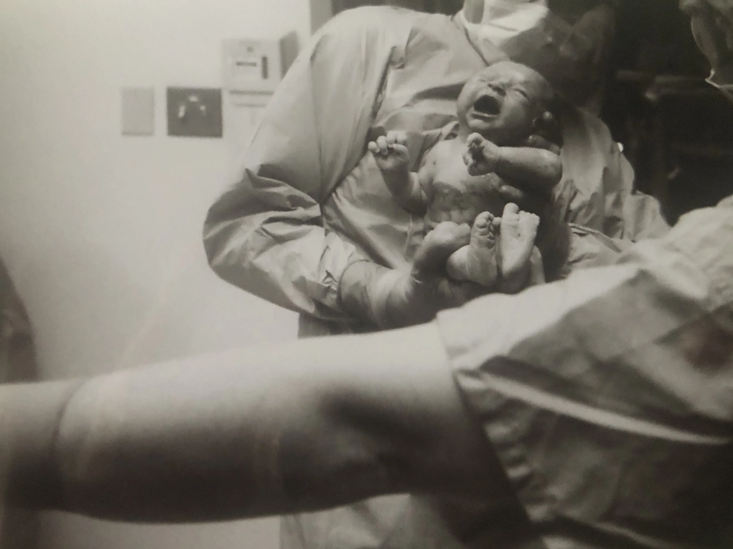 02 -first time seeing Lola.jpeg