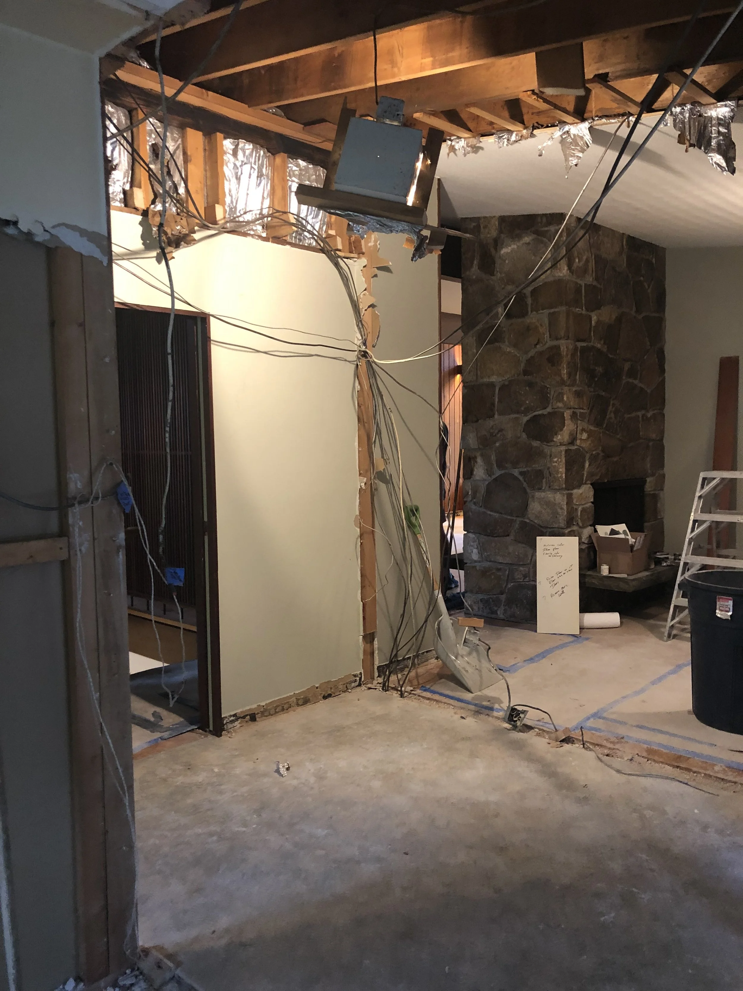 03 - Gutted house.jpeg Gutted house.jpg