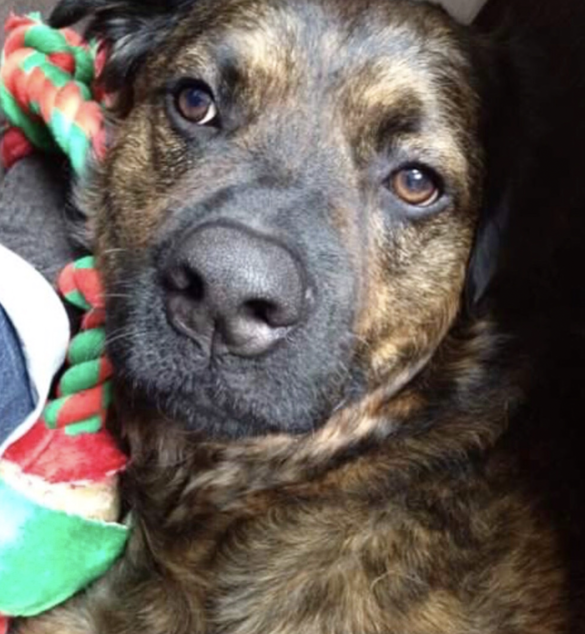 Screen Shot 2026-02-21 at 5.30.38 PM.png