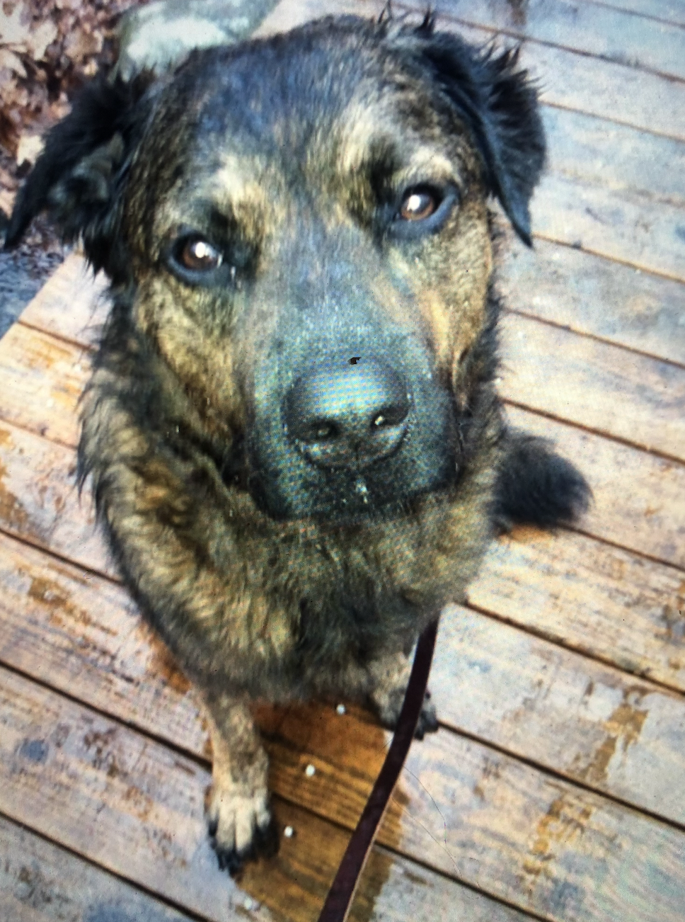 Screen Shot 2026-02-21 at 5.35.03 PM.png