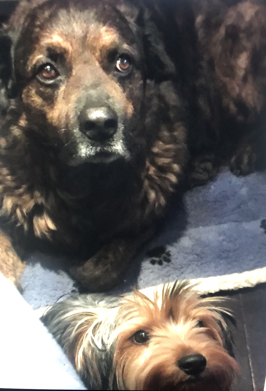 Screen Shot 2026-02-21 at 5.35.40 PM.png