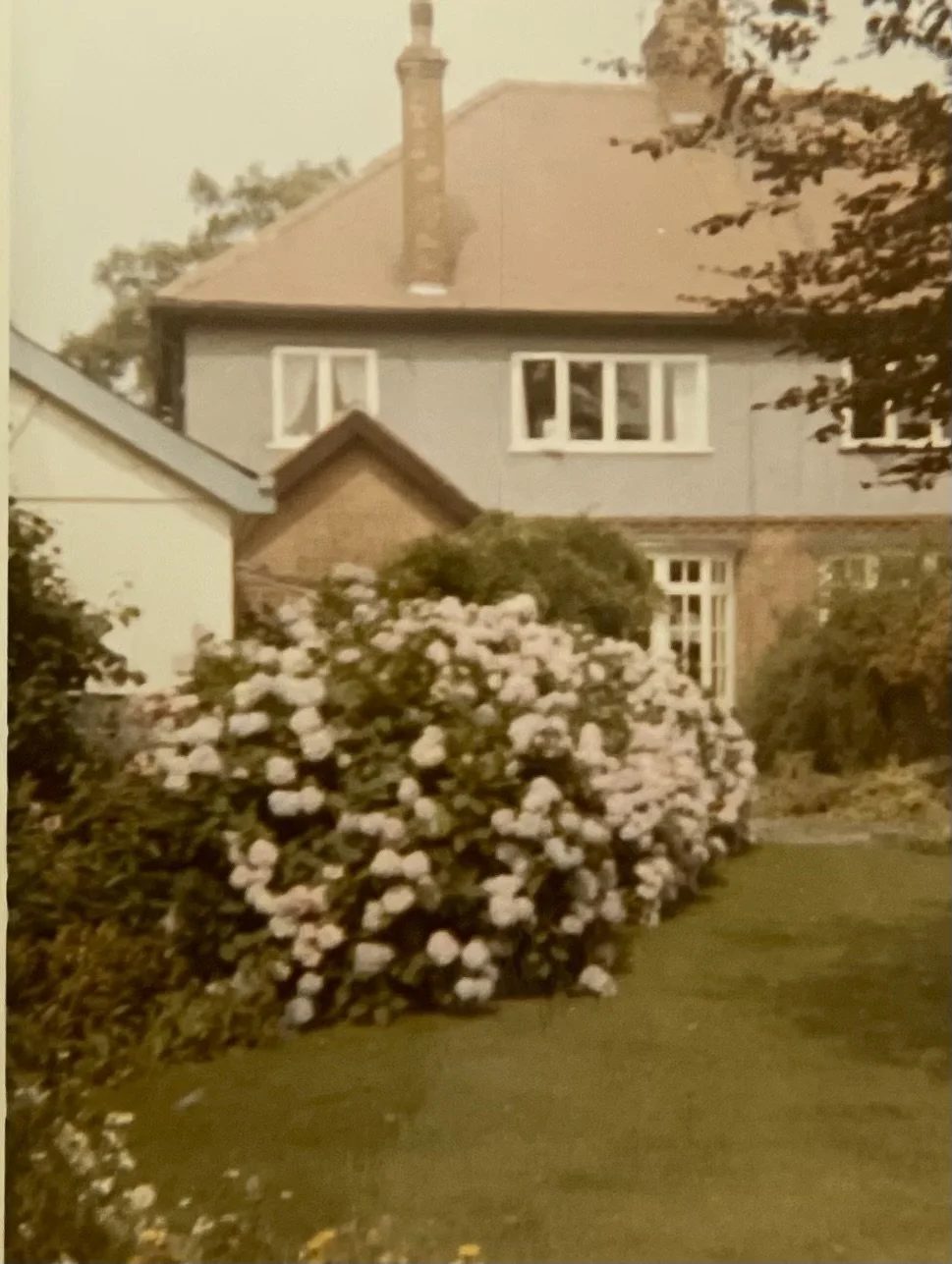03 - the back of my grandmother_s house IMG_4373.jpg