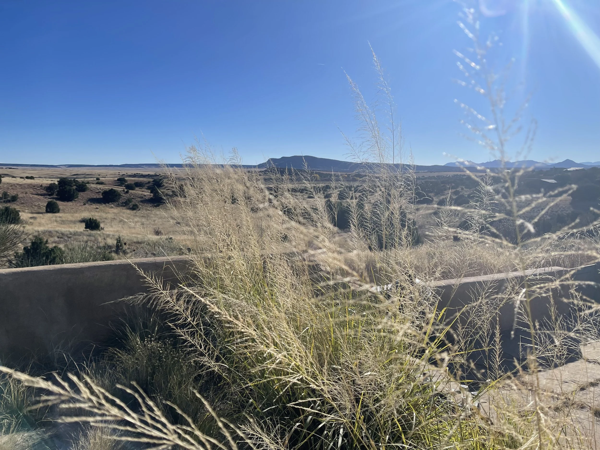 09 - New Mexico.jpeg