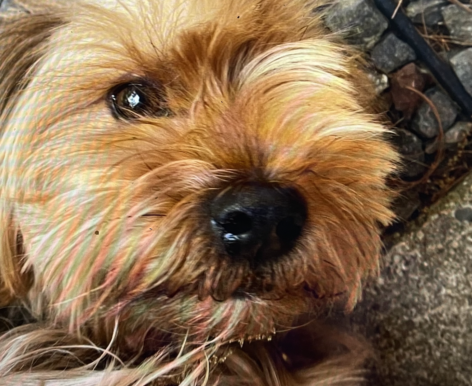 Screen Shot 2026-02-21 at 5.18.47 PM.png