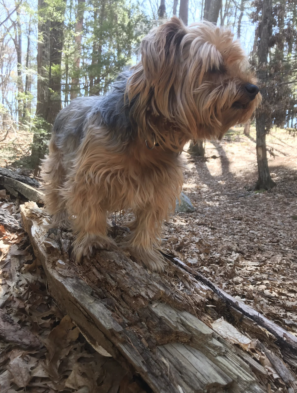 Screen Shot 2026-02-21 at 5.21.52 PM.png