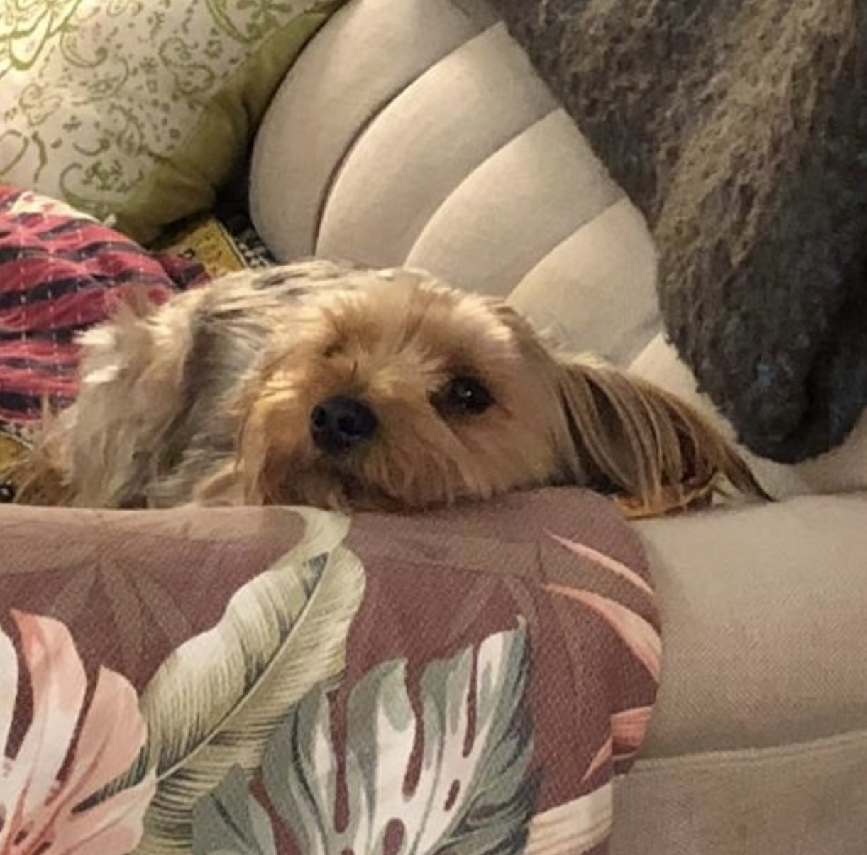 Screen Shot 2026-02-21 at 5.24.58 PM.png