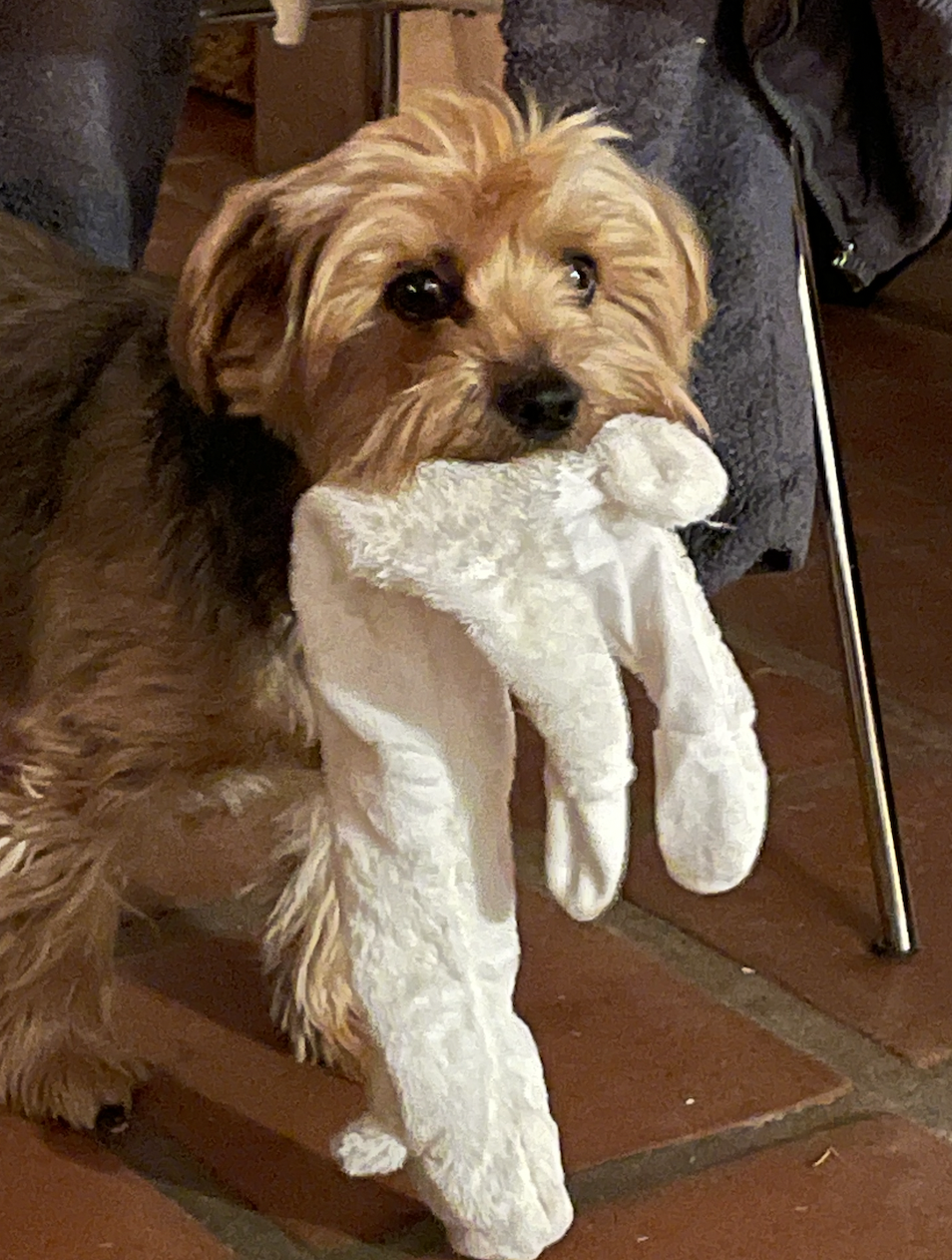 Screen Shot 2026-02-21 at 5.26.56 PM.png