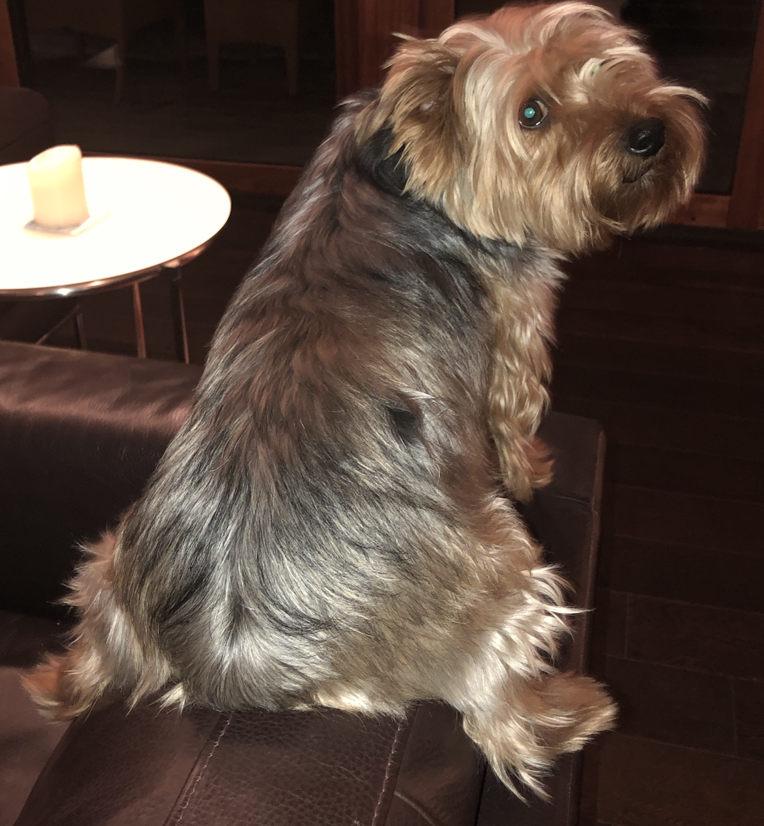 Screen Shot 2026-02-21 at 5.47.50 PM.png