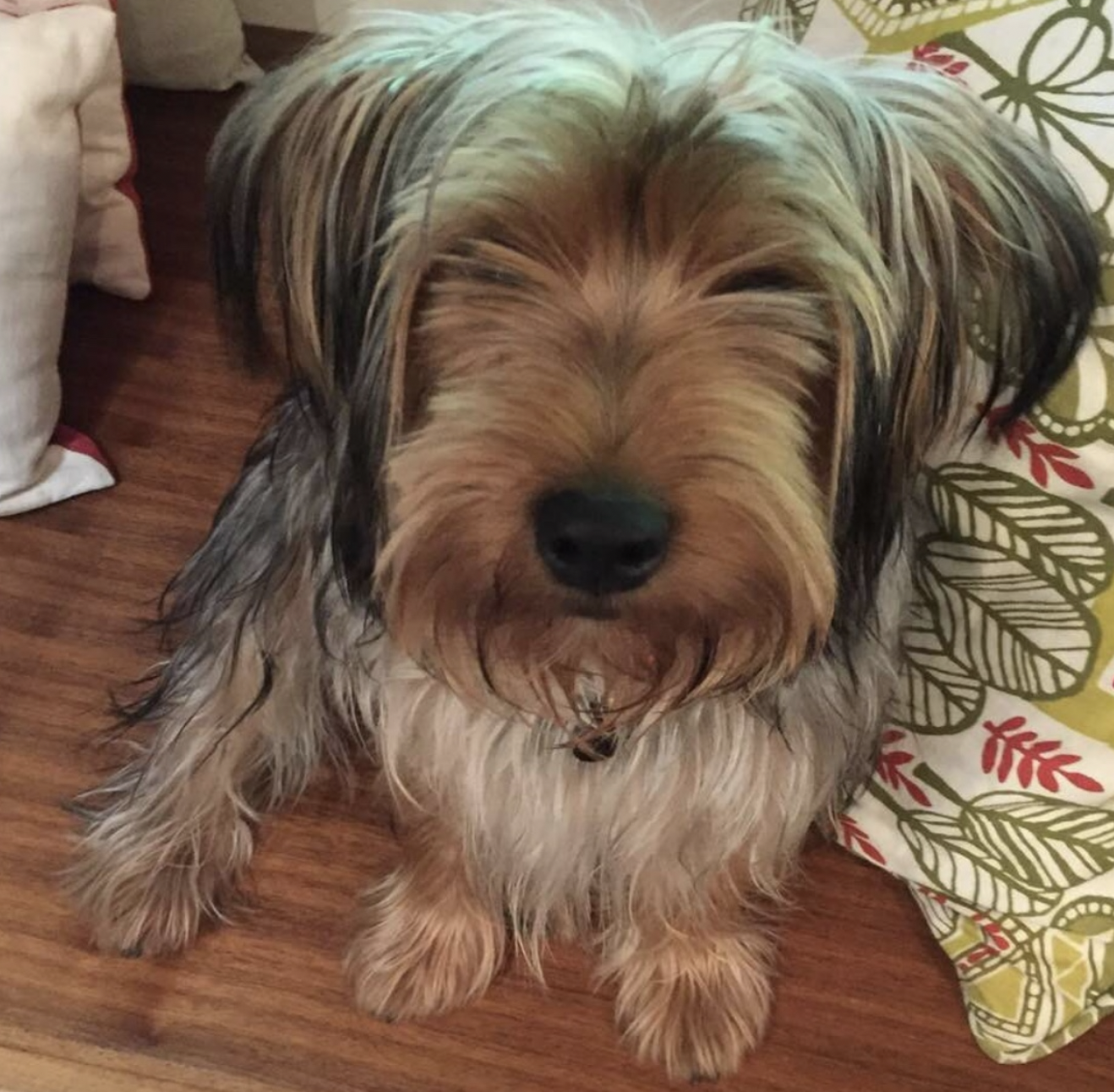 Screen Shot 2026-02-21 at 5.48.38 PM.png