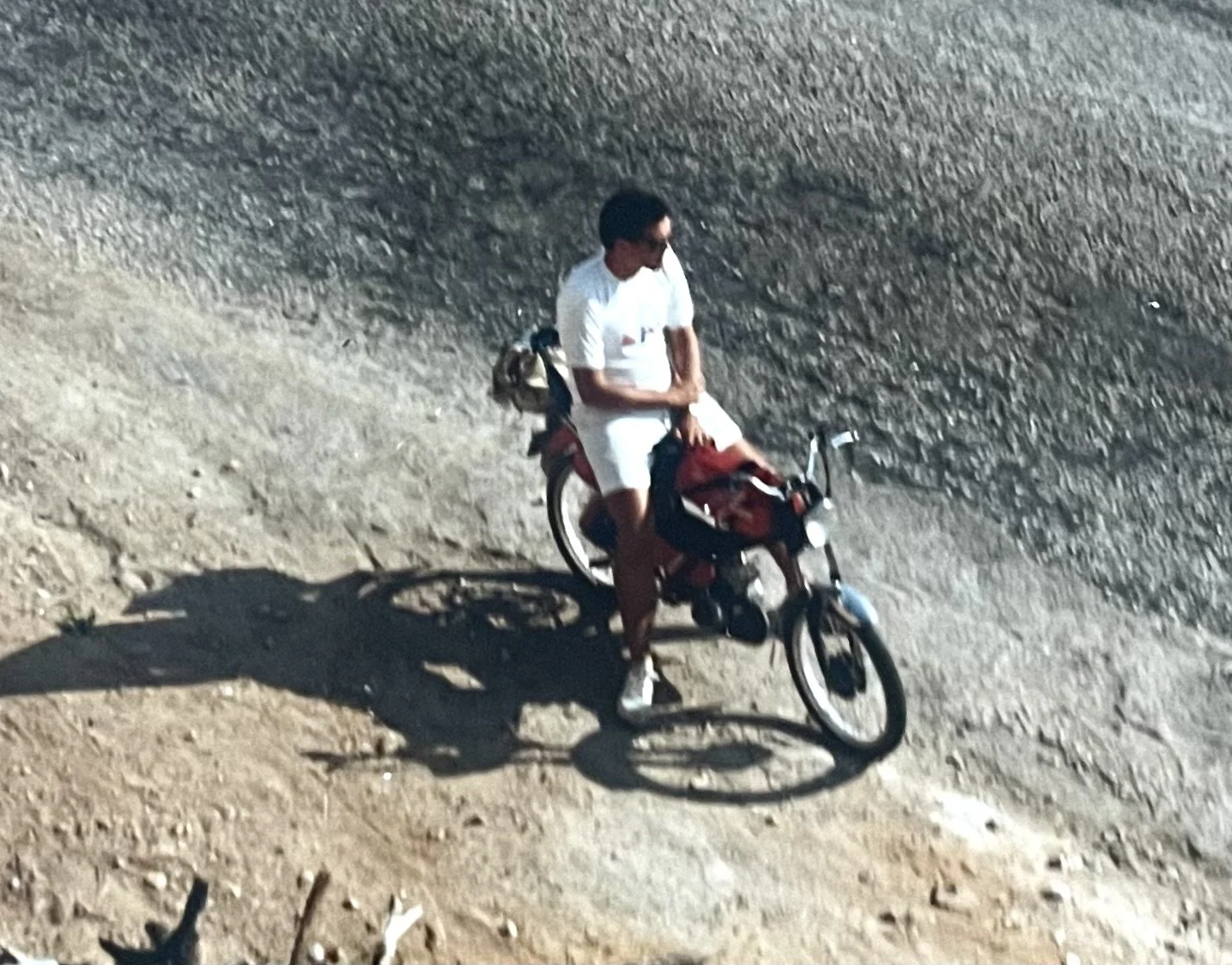06 - Felix.jpg