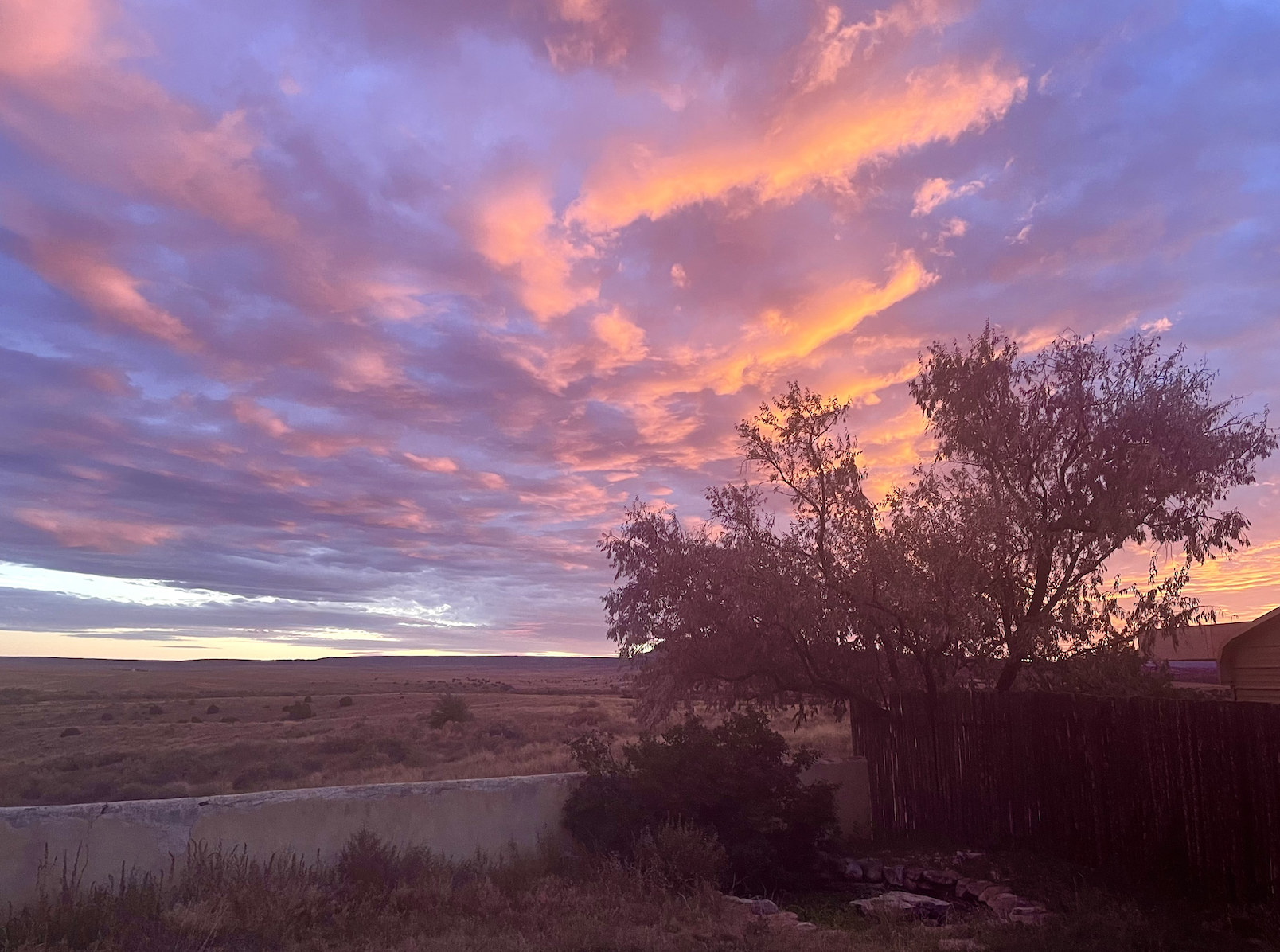 11 - New Mexico.png