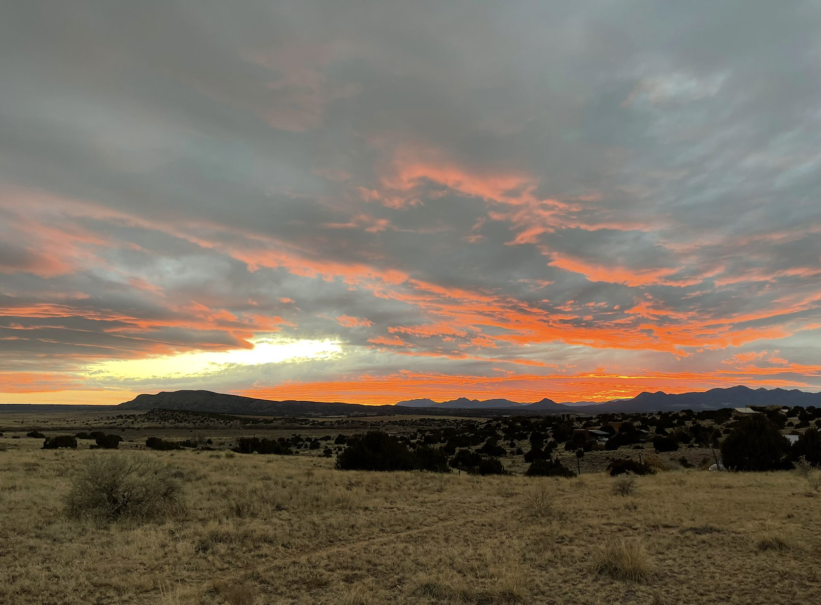 12 - New Mexico.png