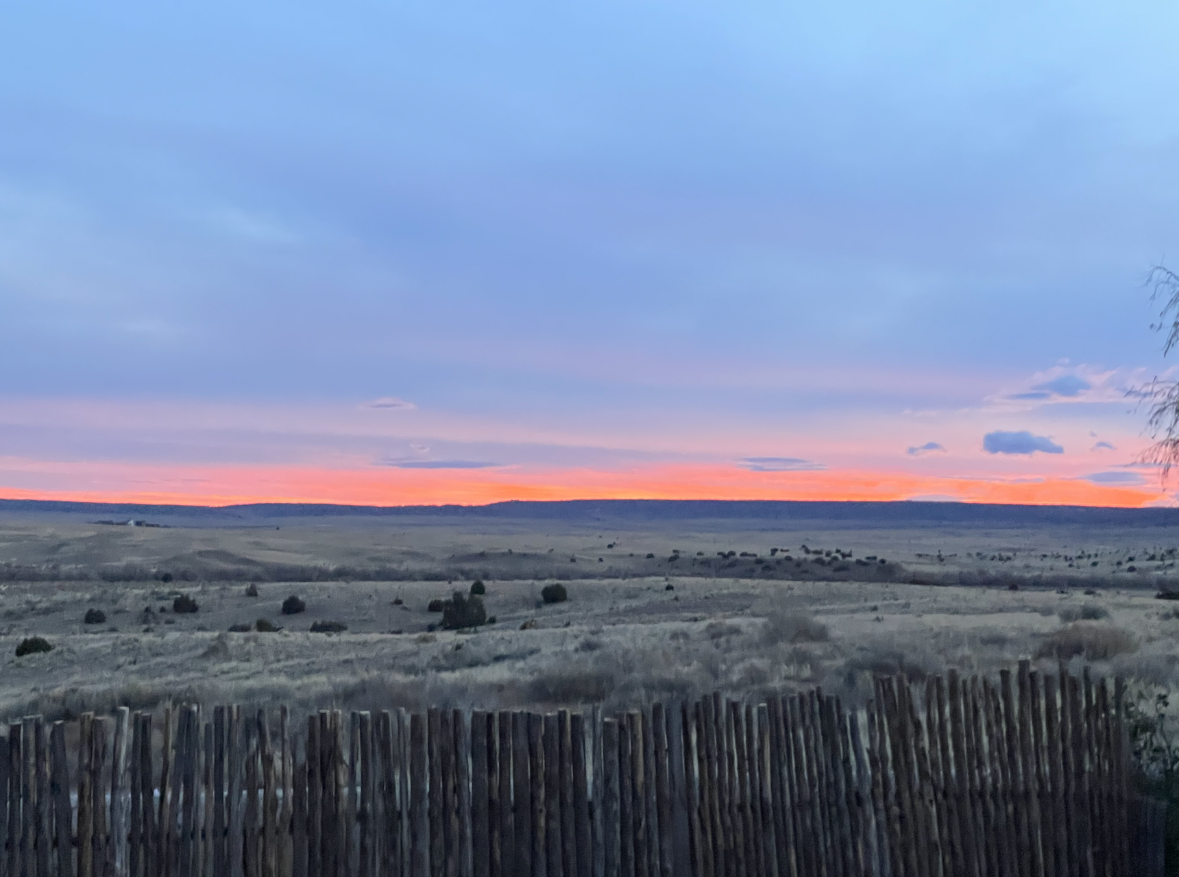 13 - New Mexico.png