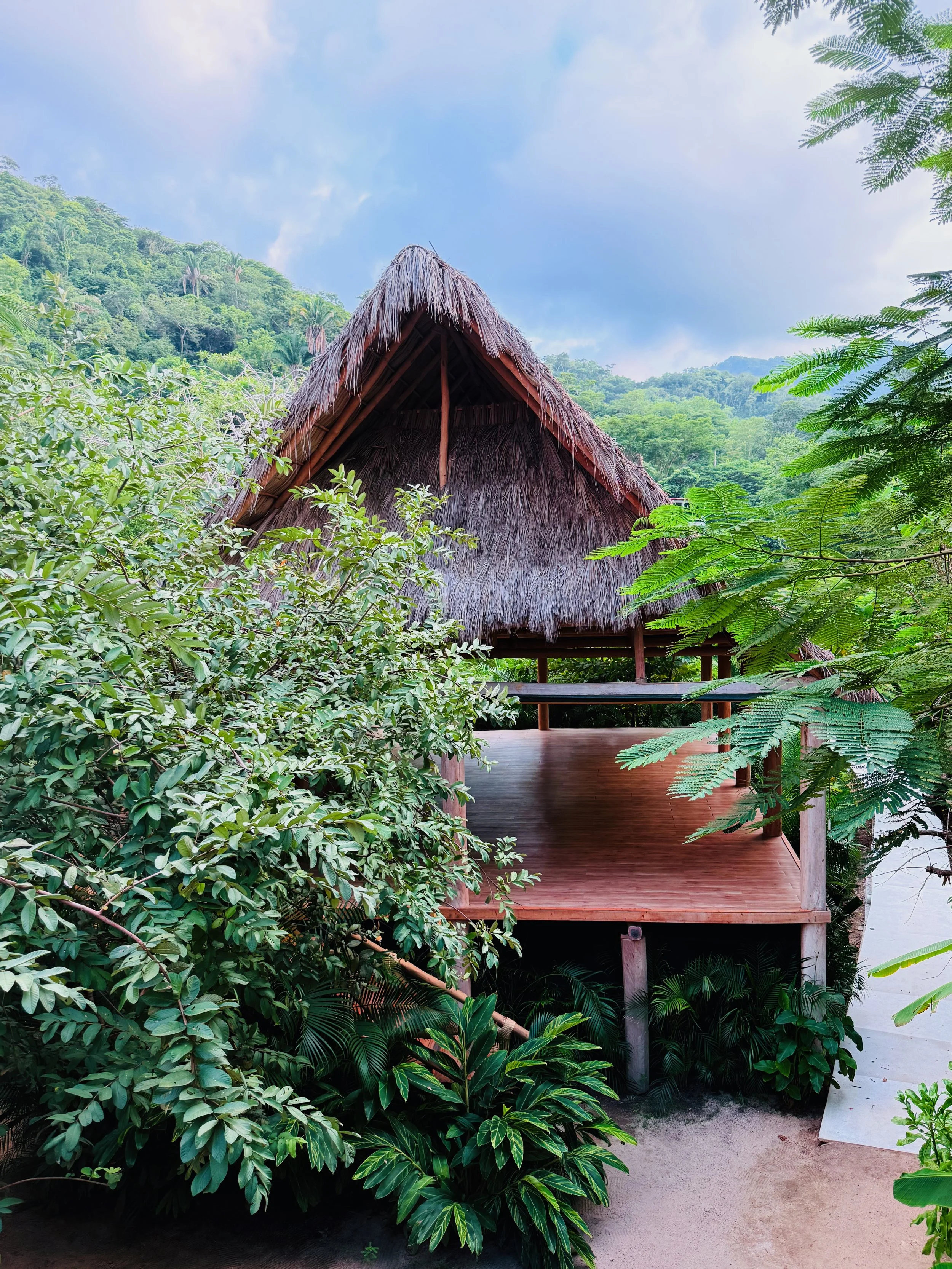 Rhythms of Being: A Reflection Guide