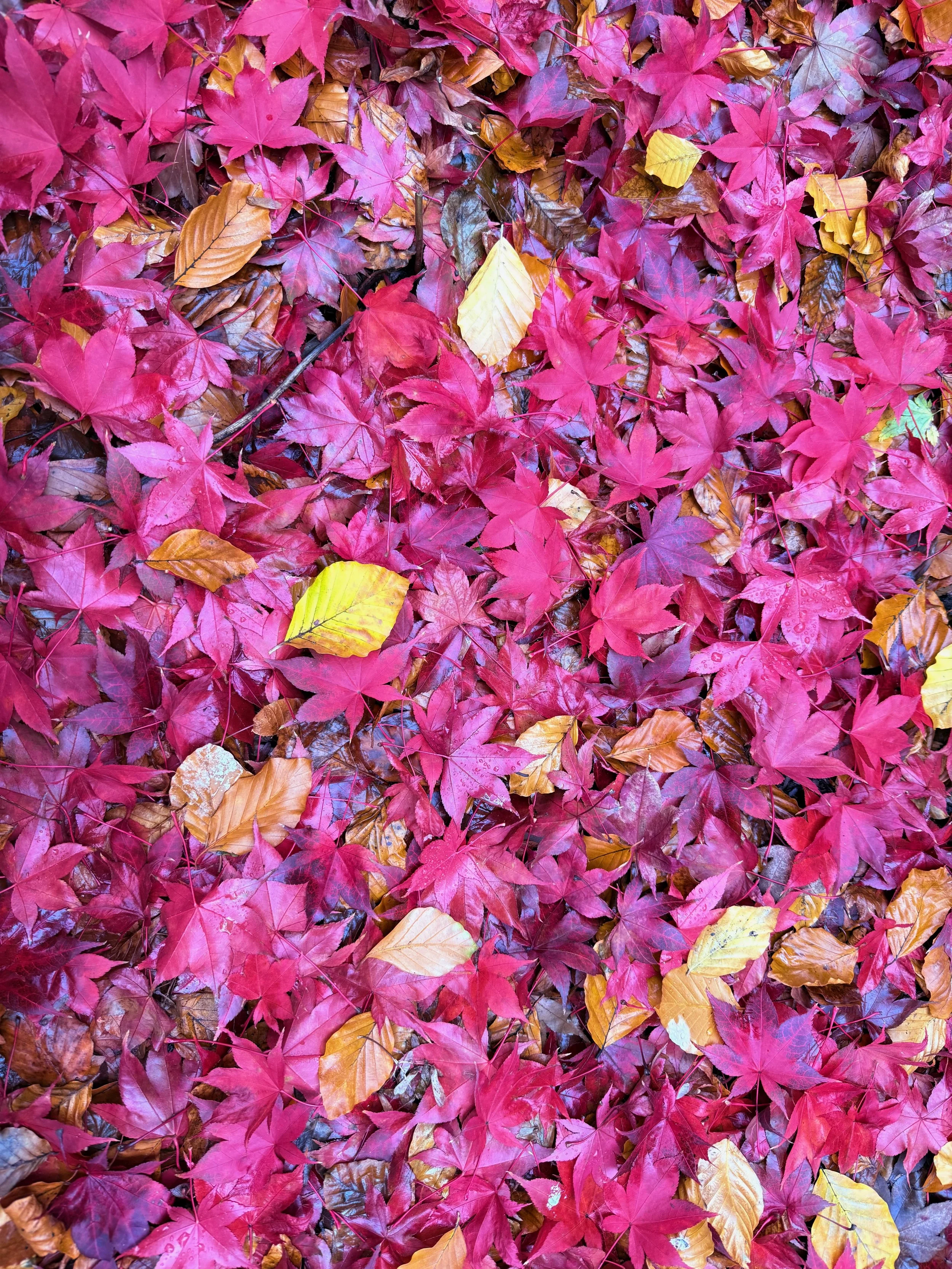 Thinking Well: Choosing Stories That Serve Us