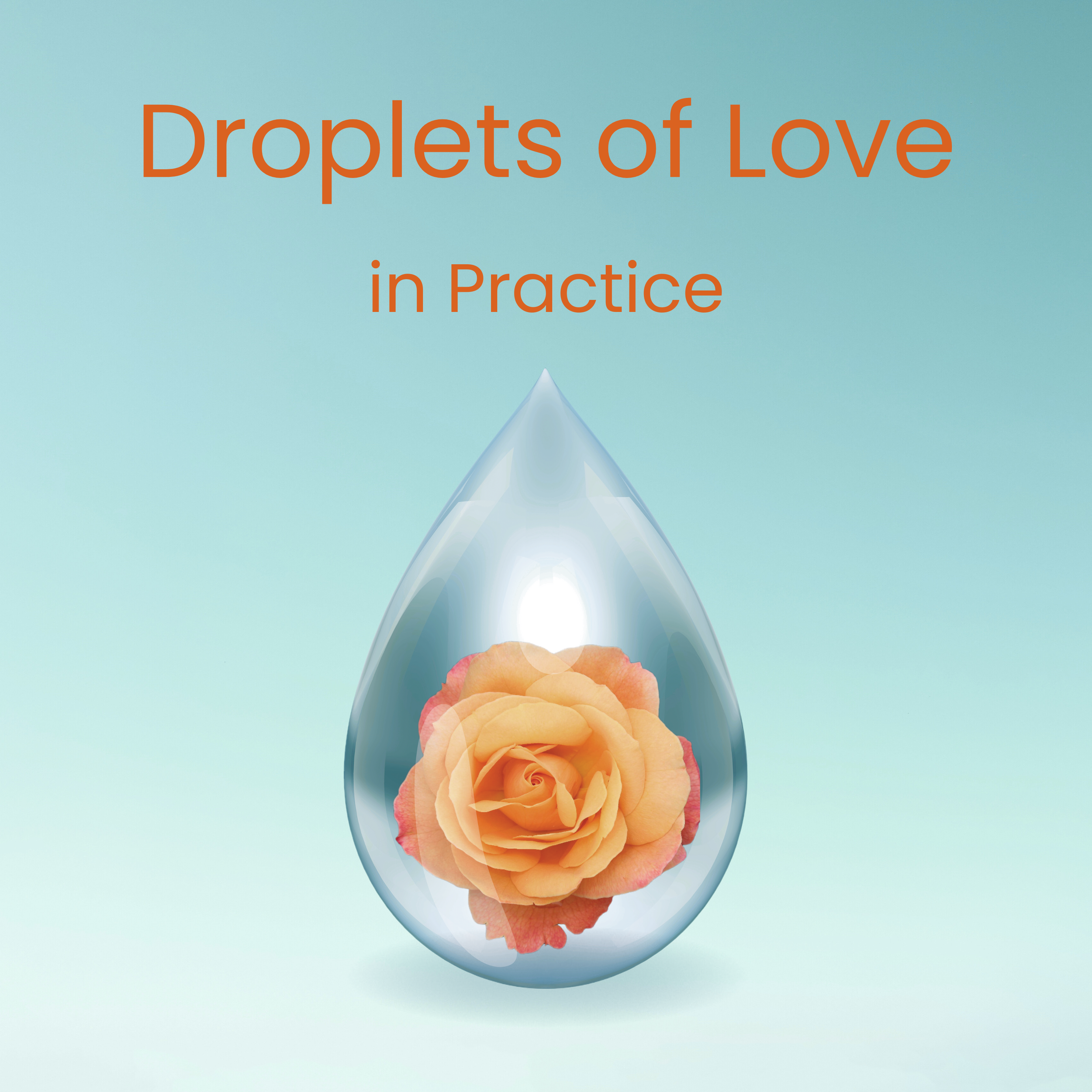 Album cover D of L in Practice.png