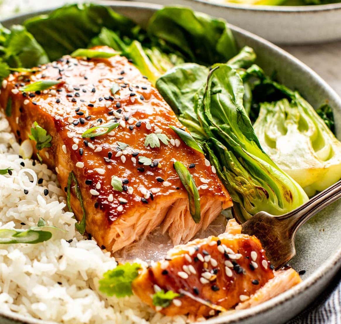 Broiled-mio-salmon-served-with-rice-and-scallions-in-a-bowl.jpeg